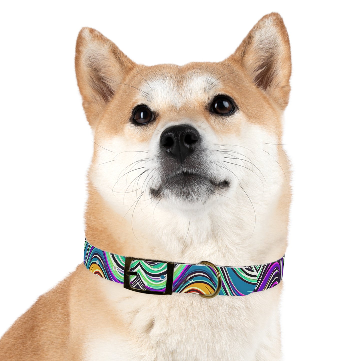 Cosmic Ripple Dog Collar