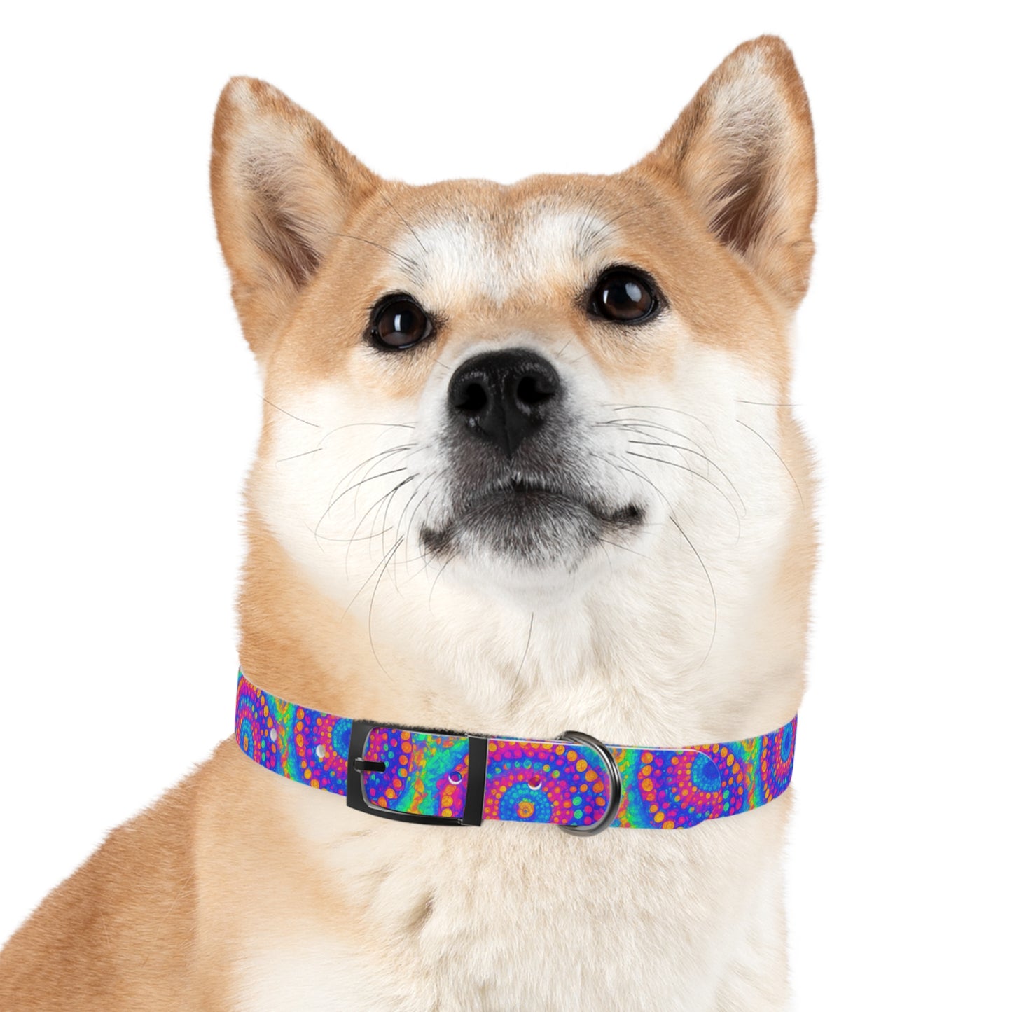 Poly Glow Dog Collar