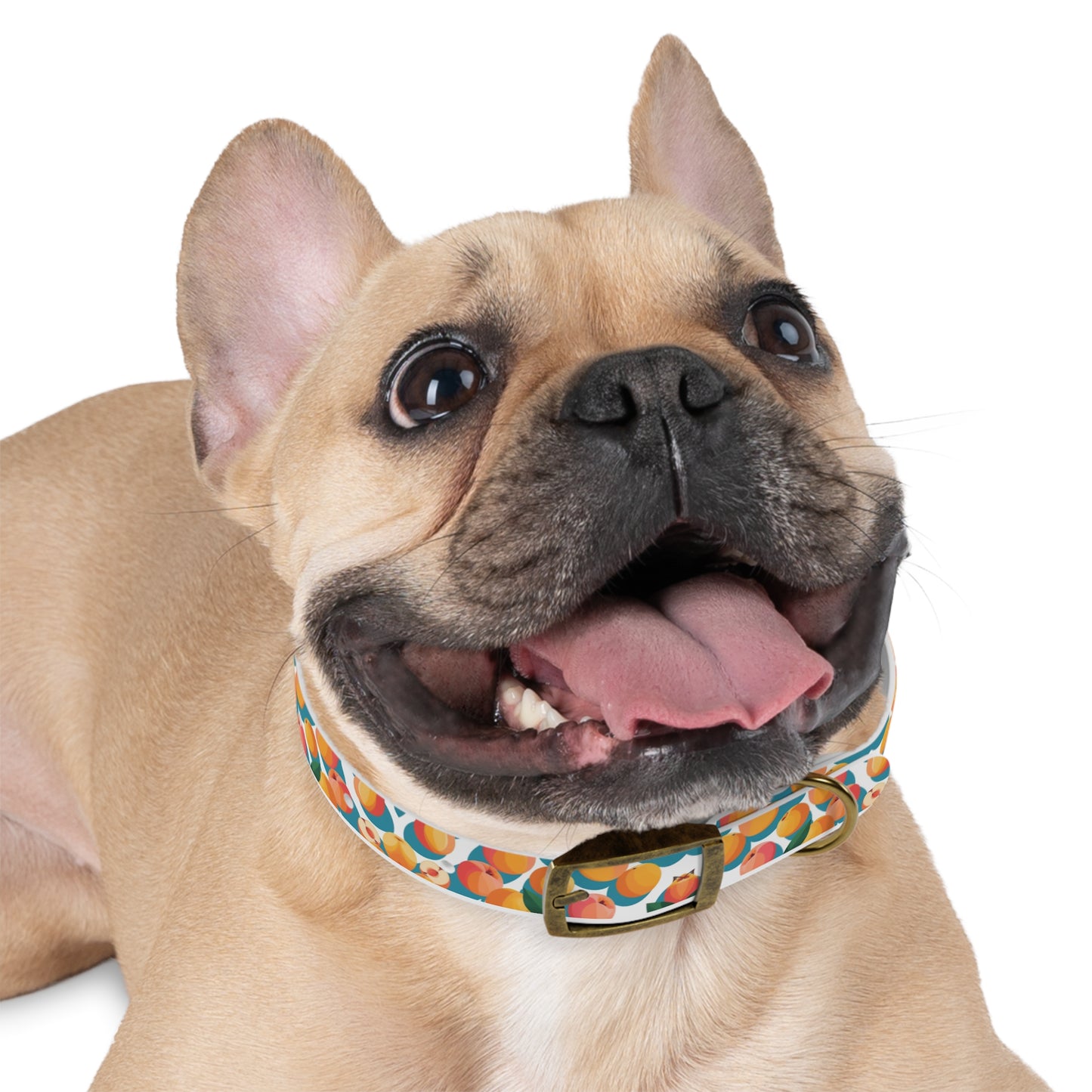 Peachy Keen Dog Collar