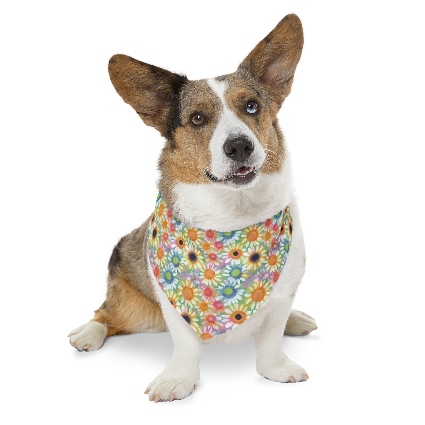 Summer Daisy Watercolor Pattern Pet Bandana Collar