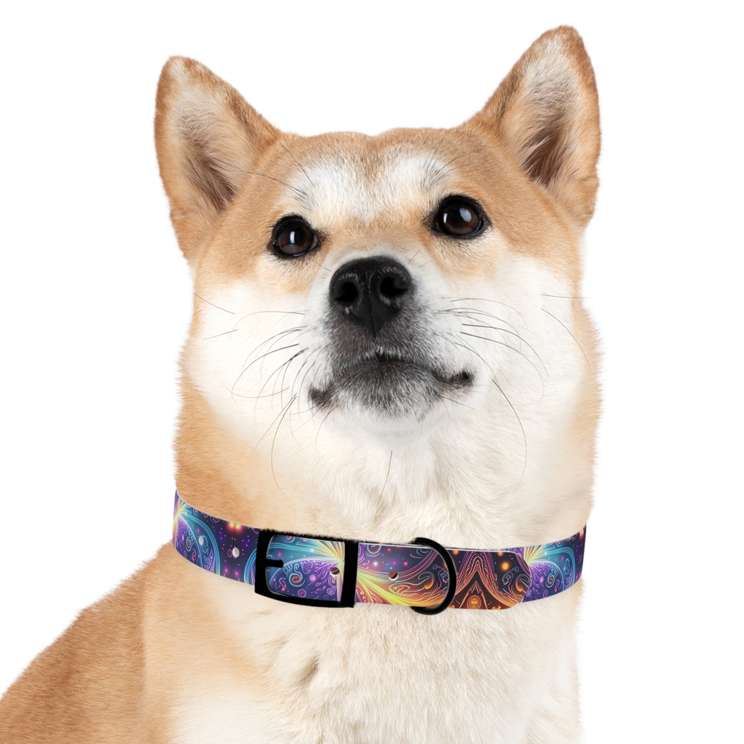 Neon Trance Dog Collar