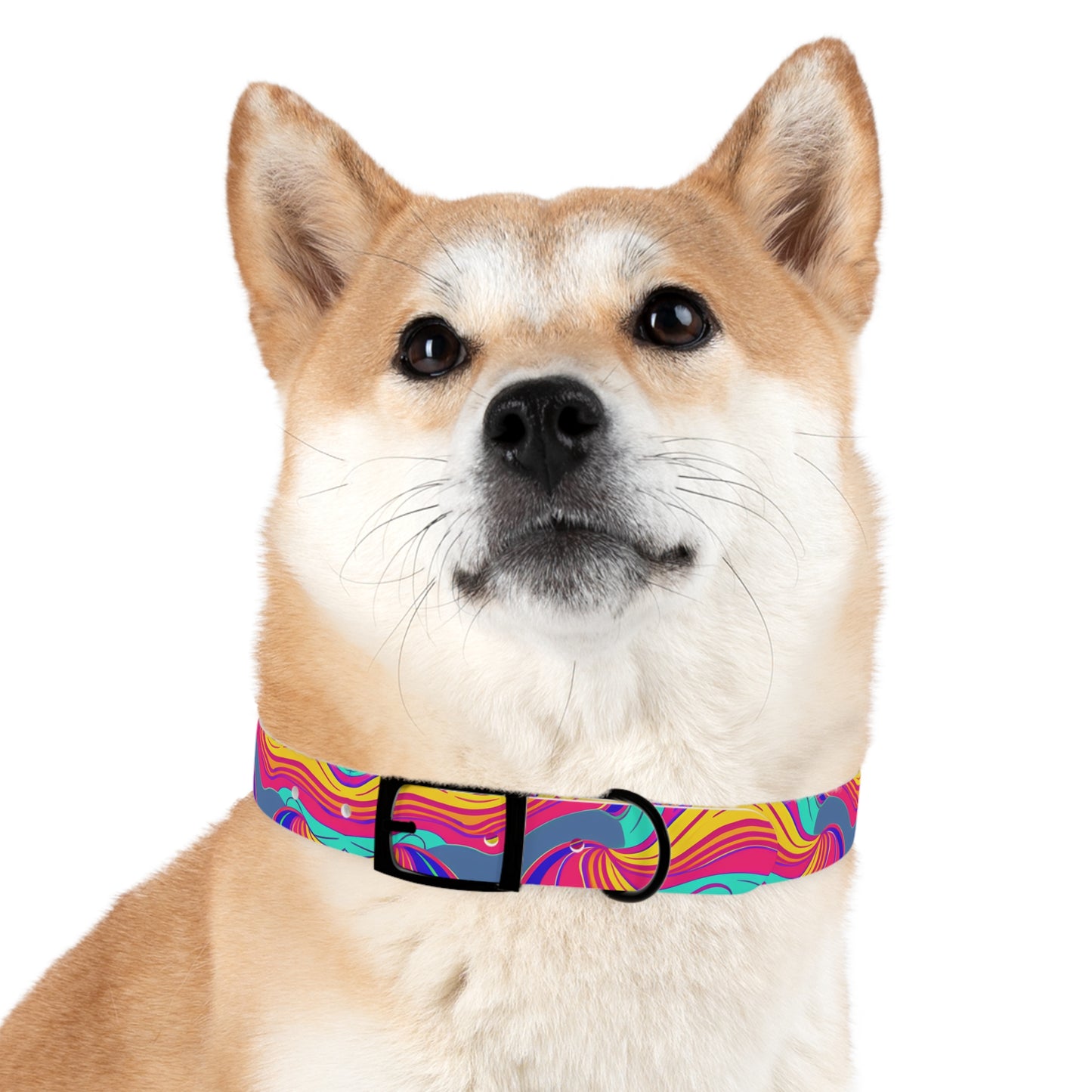 Psychedelic Grove Dog Collar