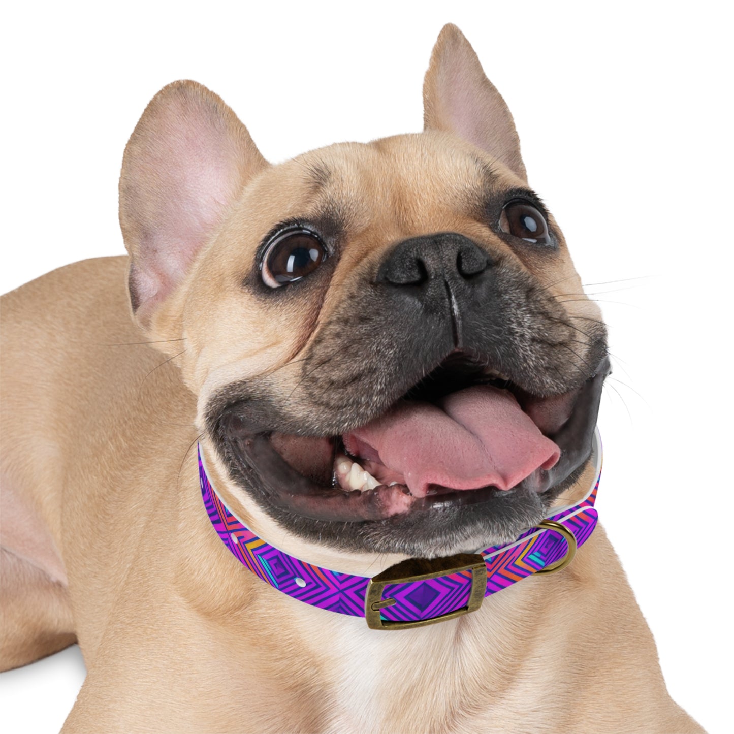 Color Gems Dog Collar