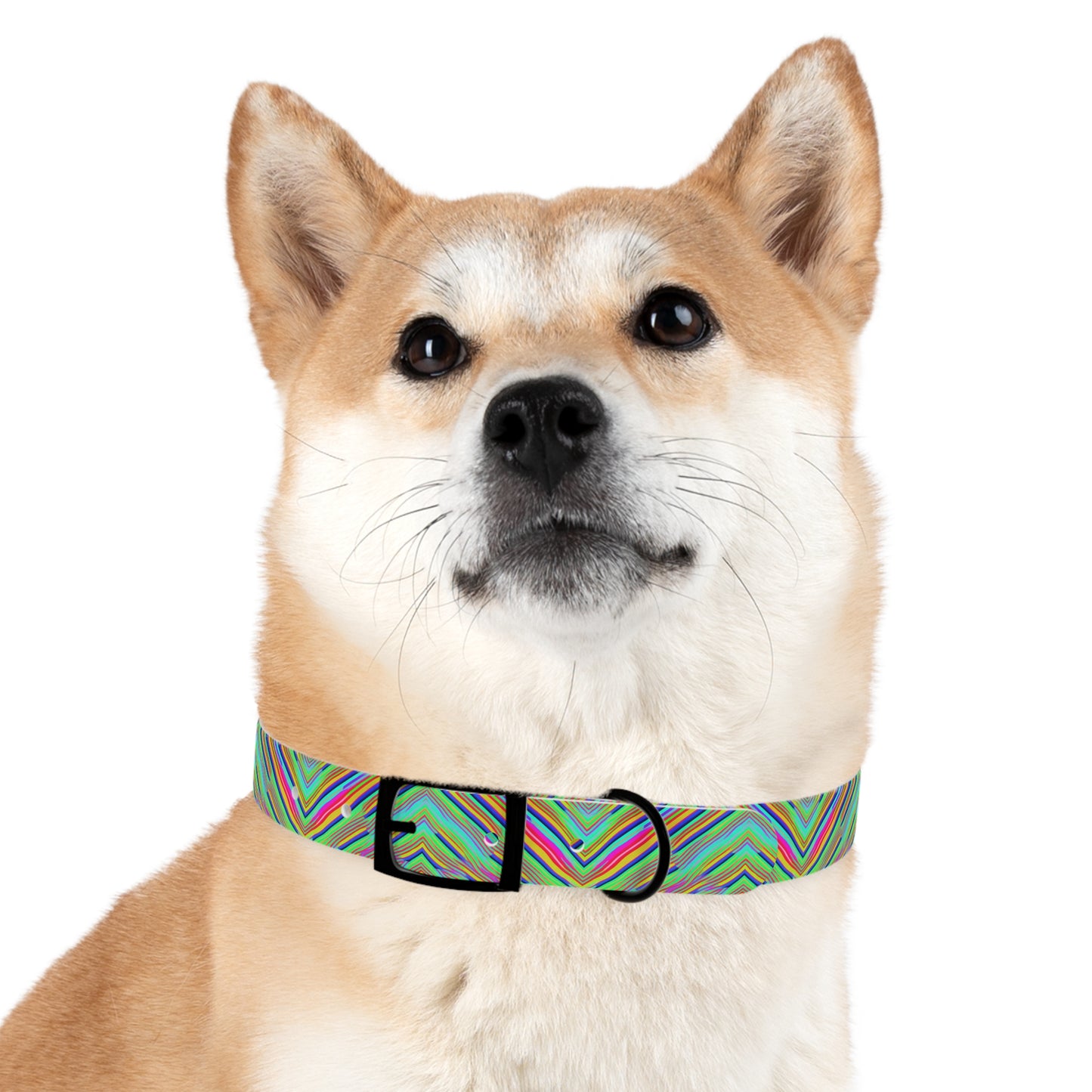 Neon Edges Dog Collar