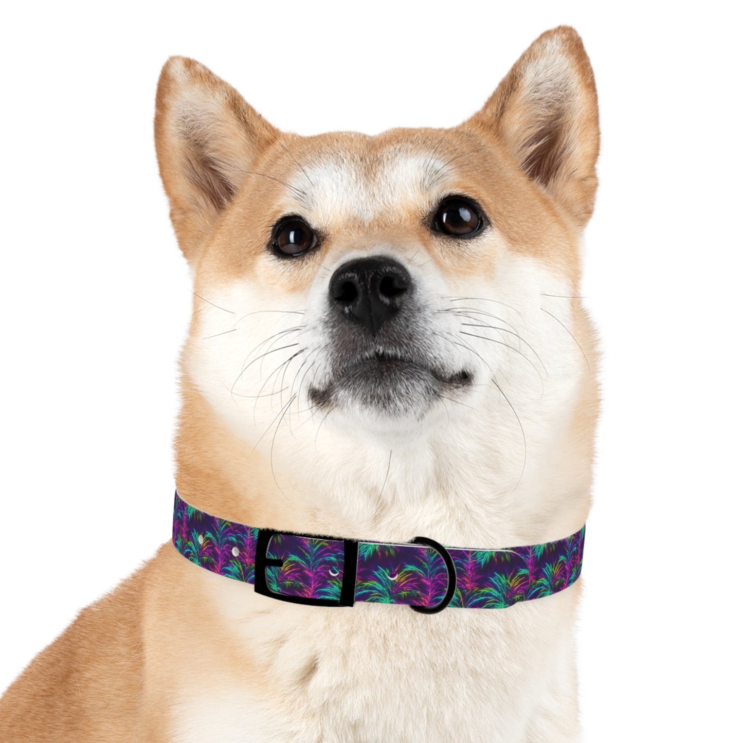 Electric Oasis Dog Collar