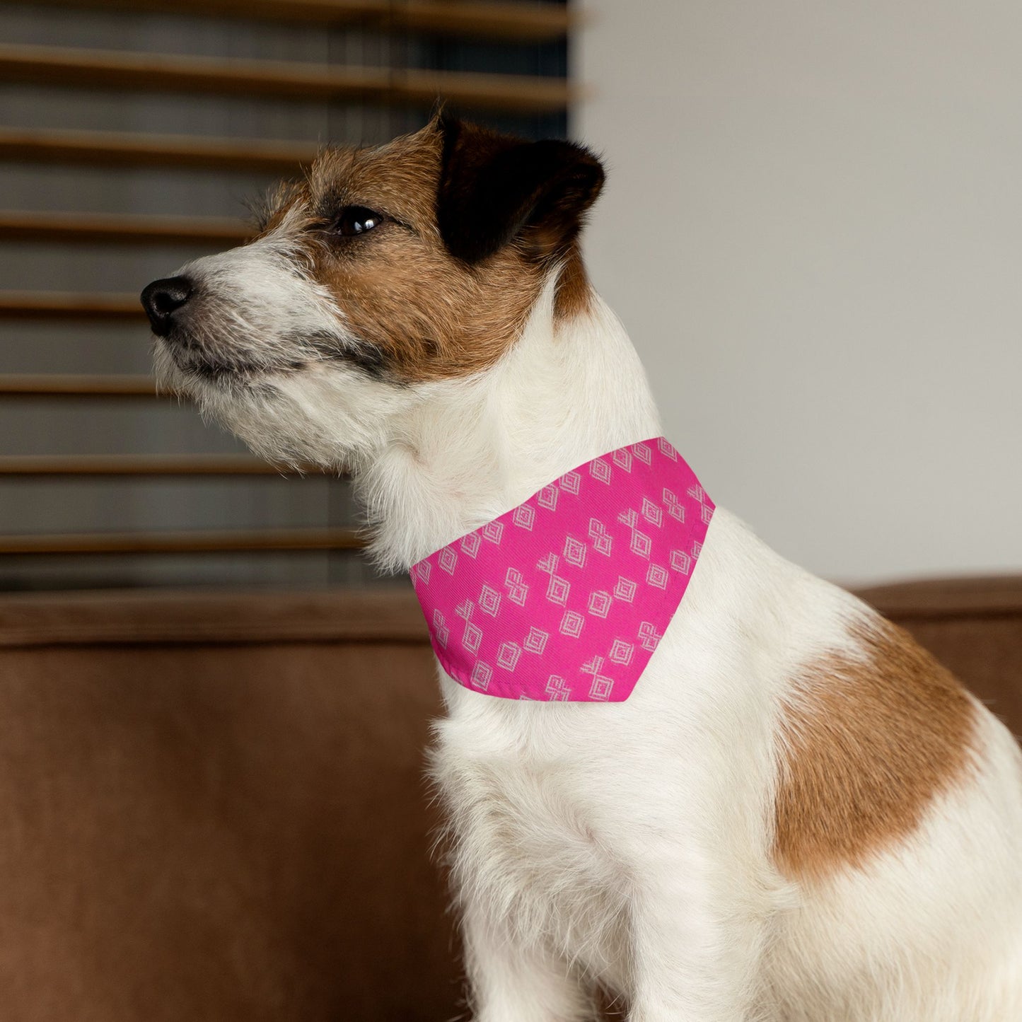 Brilliant Bliss Pet Bandana Collar