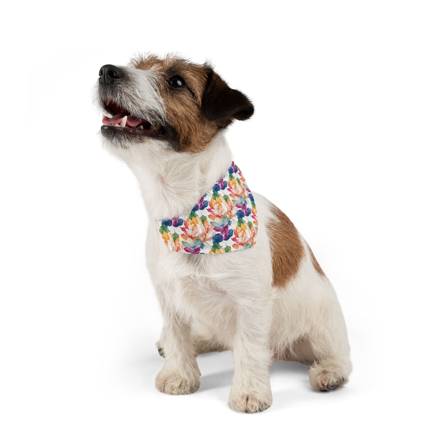 Botanical Bliss Pet Bandana Collar