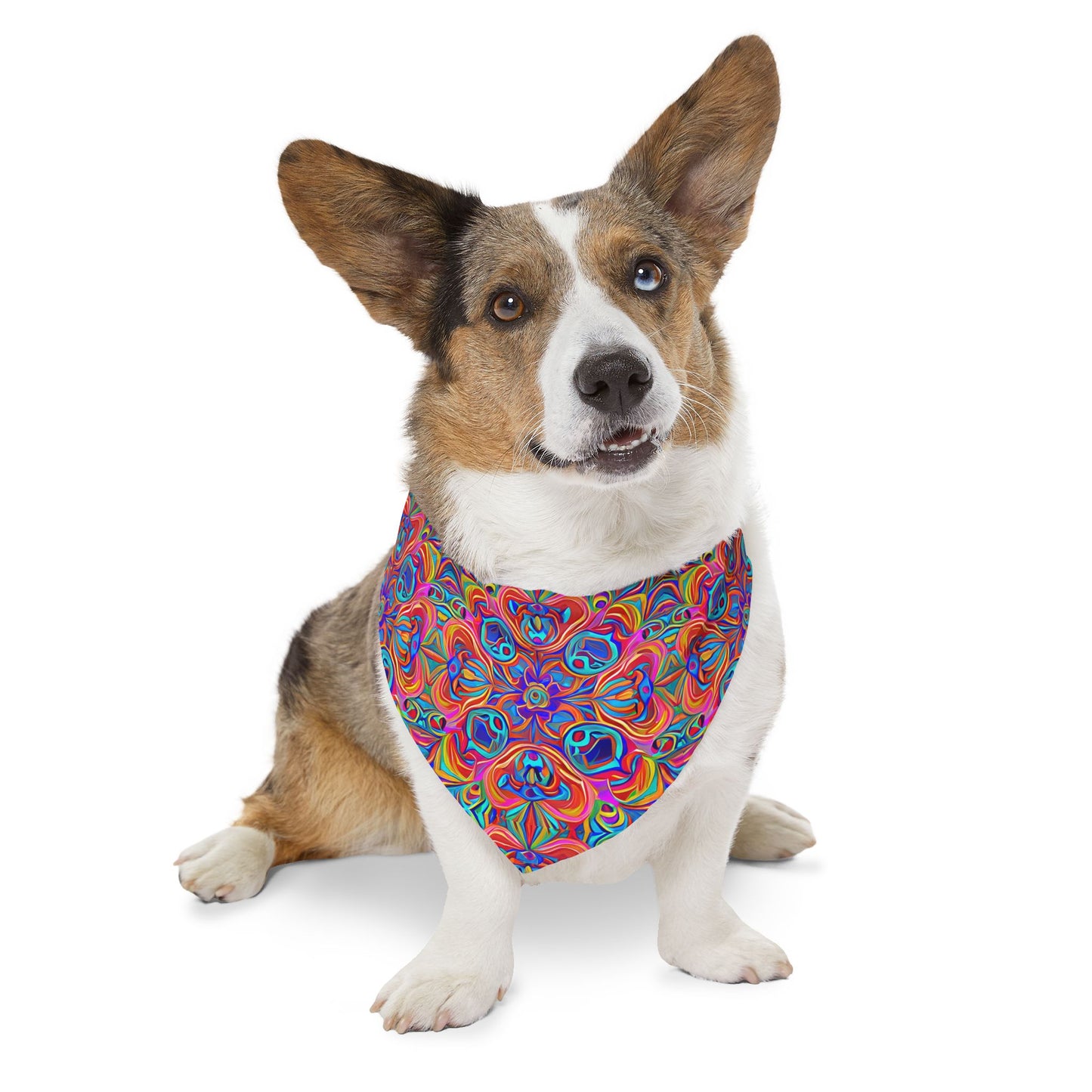 Psychedelic Spectrum Pet Bandana Collar