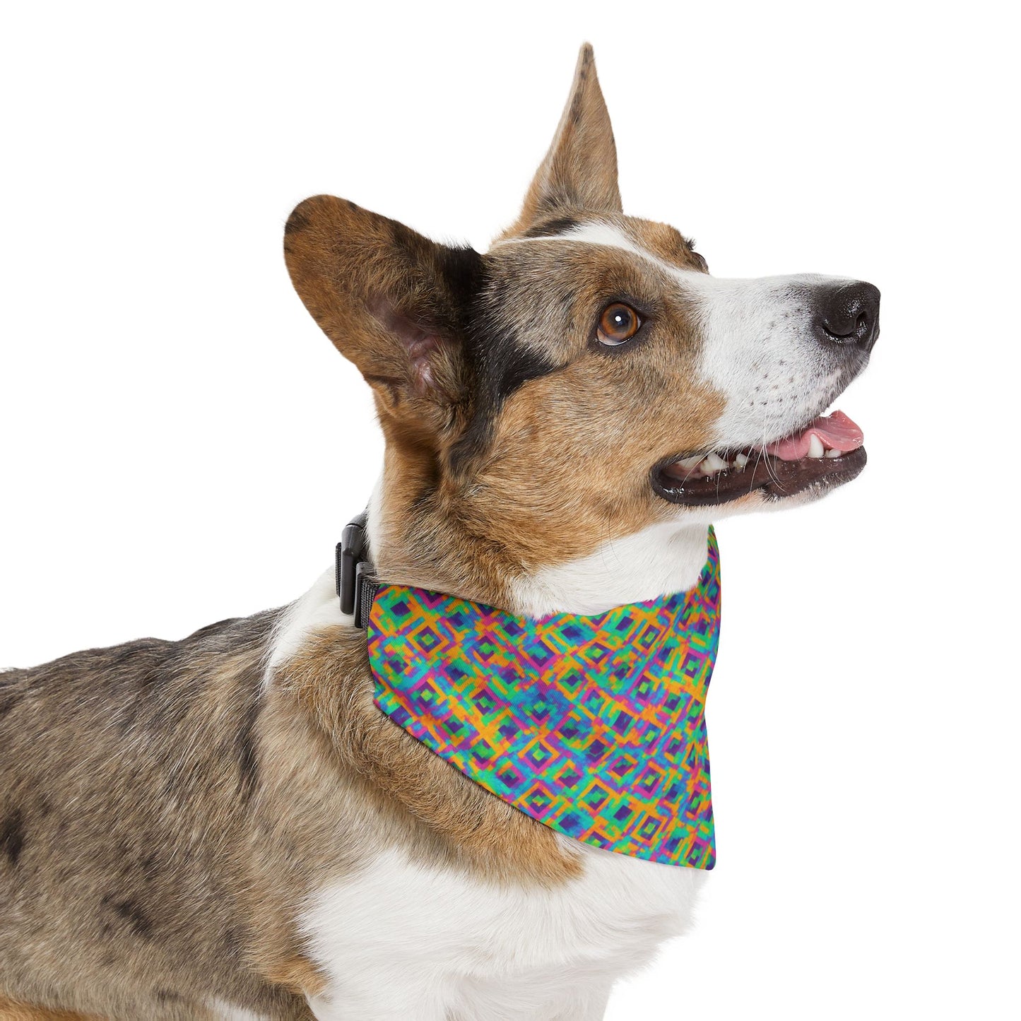 Radiant Reflections Pet Bandana Collar