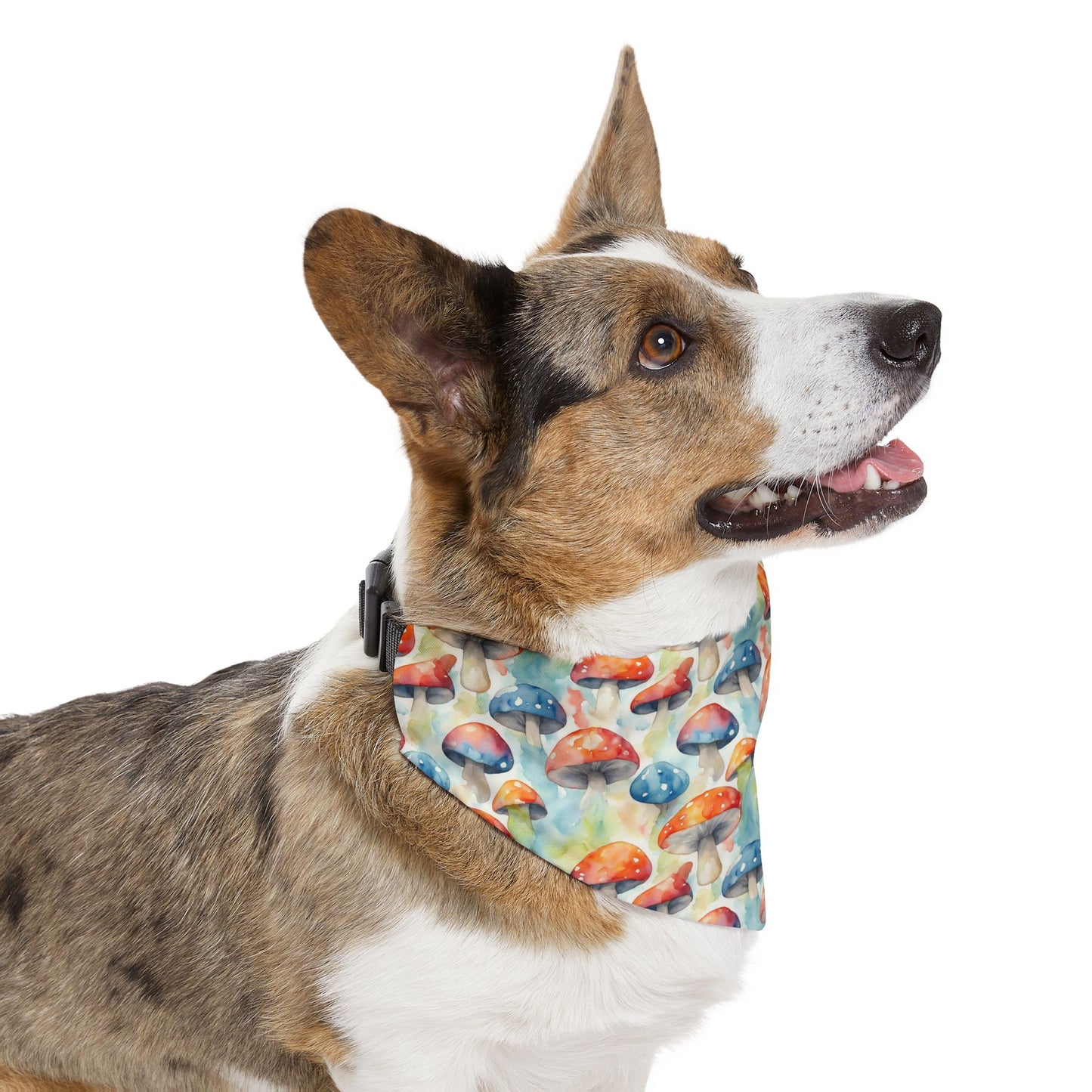 Mushroom Melody Pet Bandana Collar