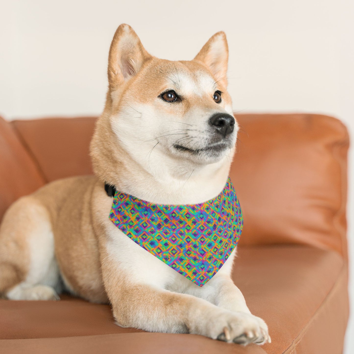 Radiant Reflections Pet Bandana Collar