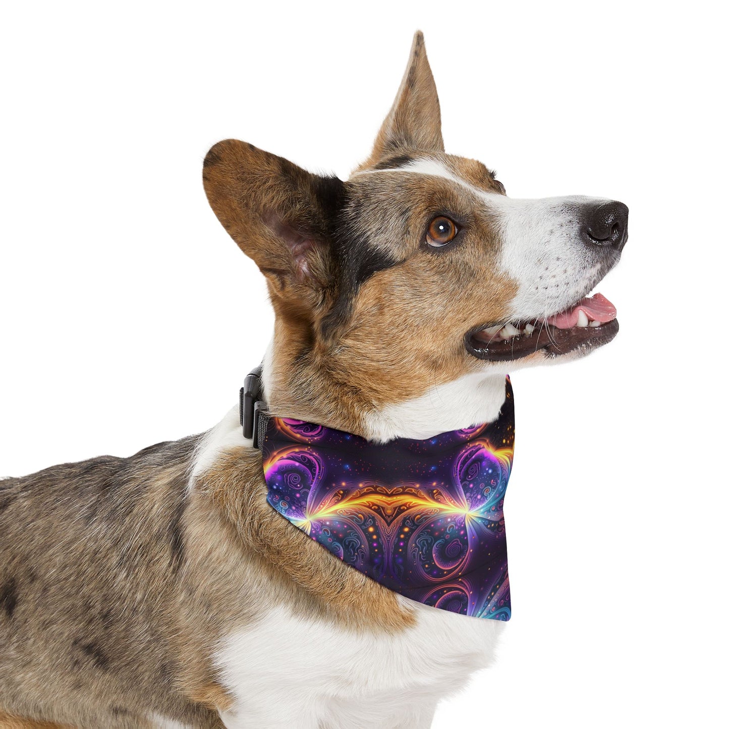 Neon Trance Pet Bandana Collar