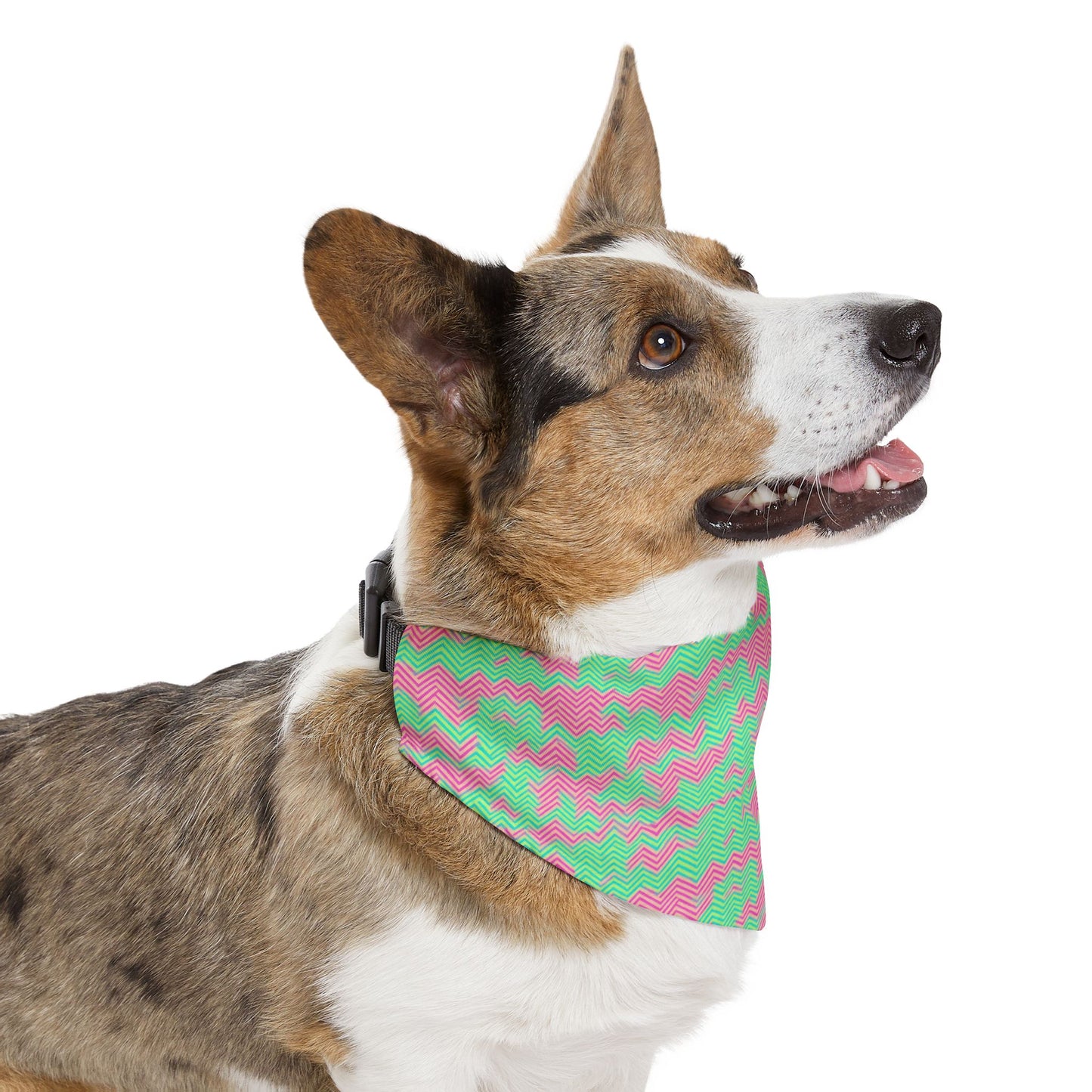 Herringbone Hues Pet Bandana Collar