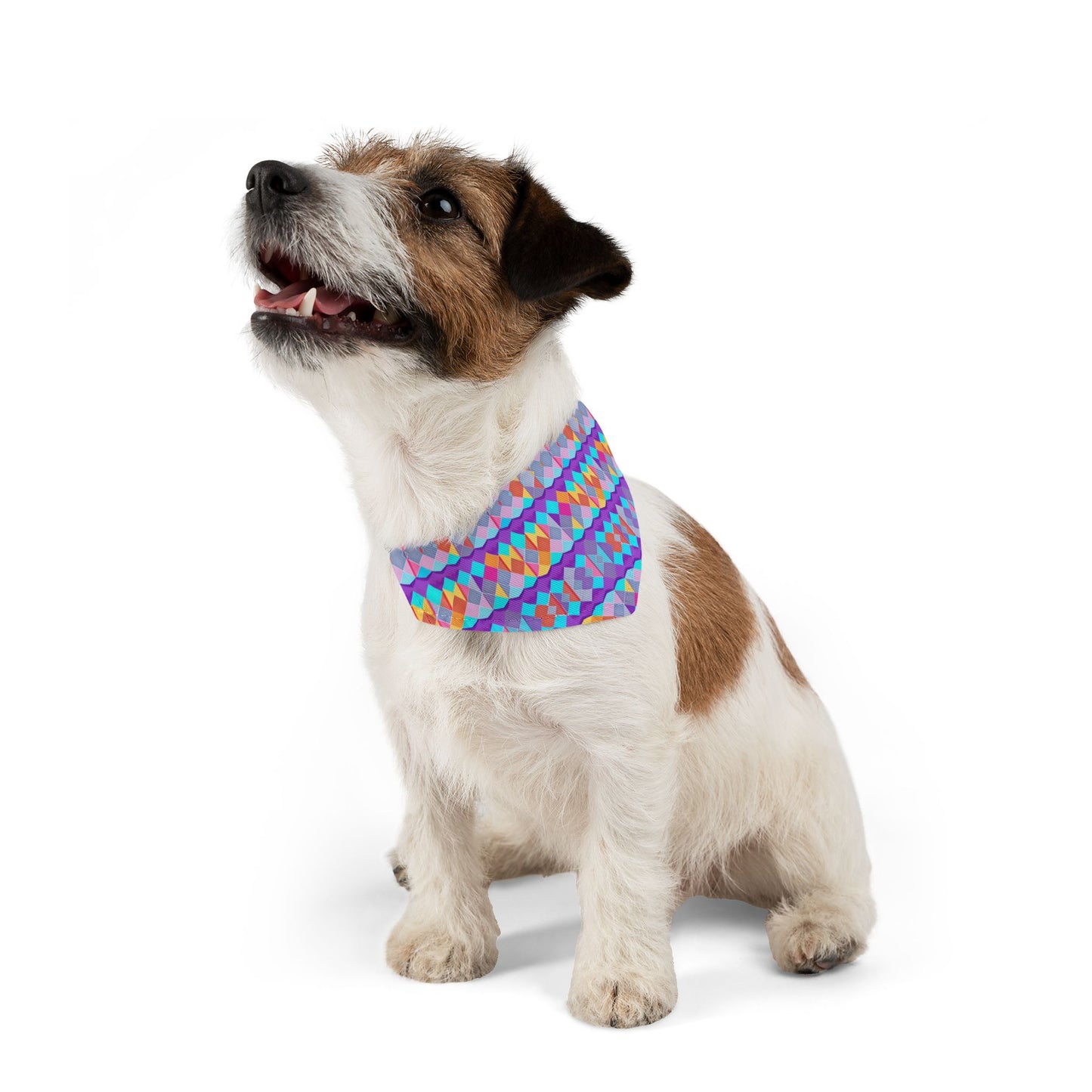 Prismatic Patterns Pet Bandana Collar