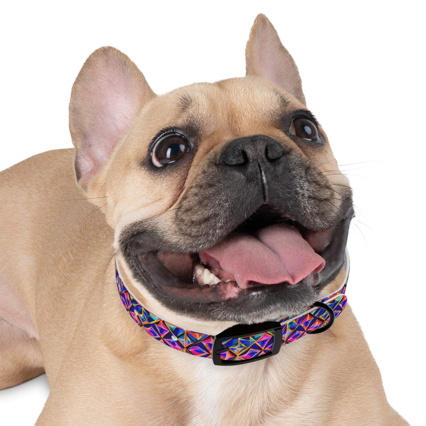 Tri-Fusion Dog Collar