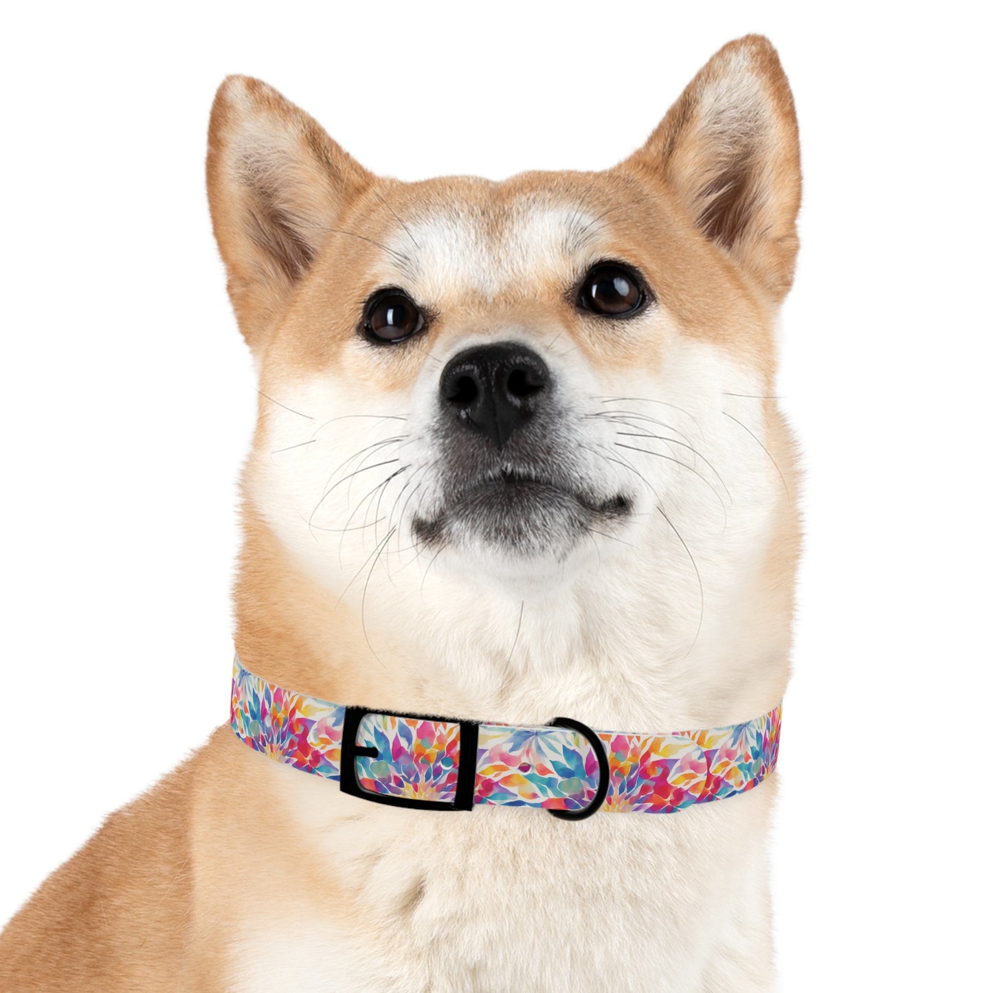 Mandala Mirage Dog Collar