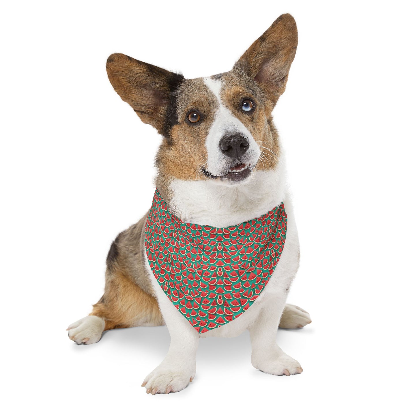 Pink Paradise Pet Bandana Collar