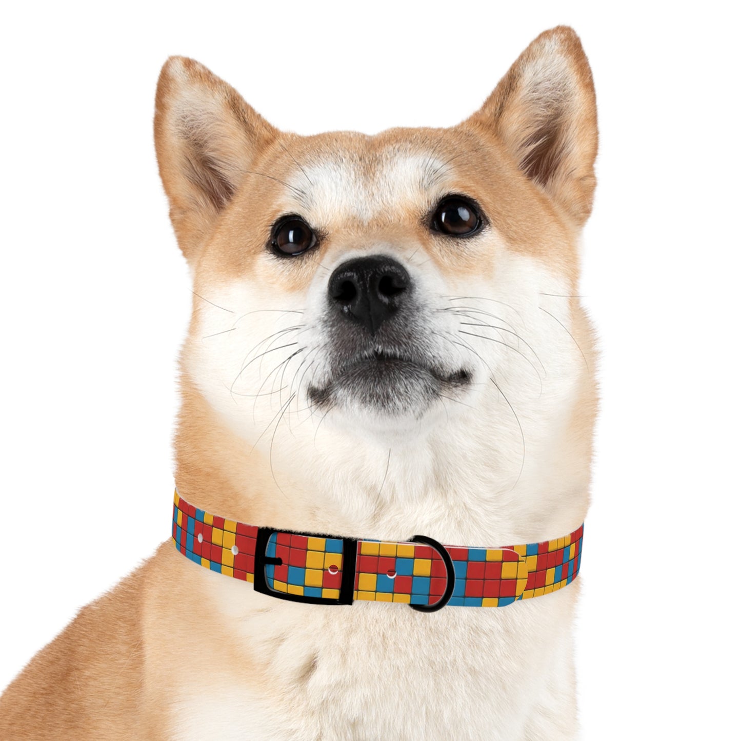 Modular Mirage Dog Collar