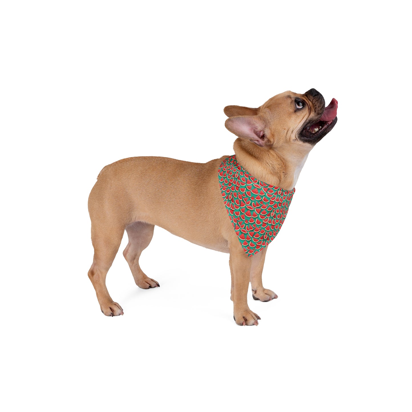 Pink Paradise Pet Bandana