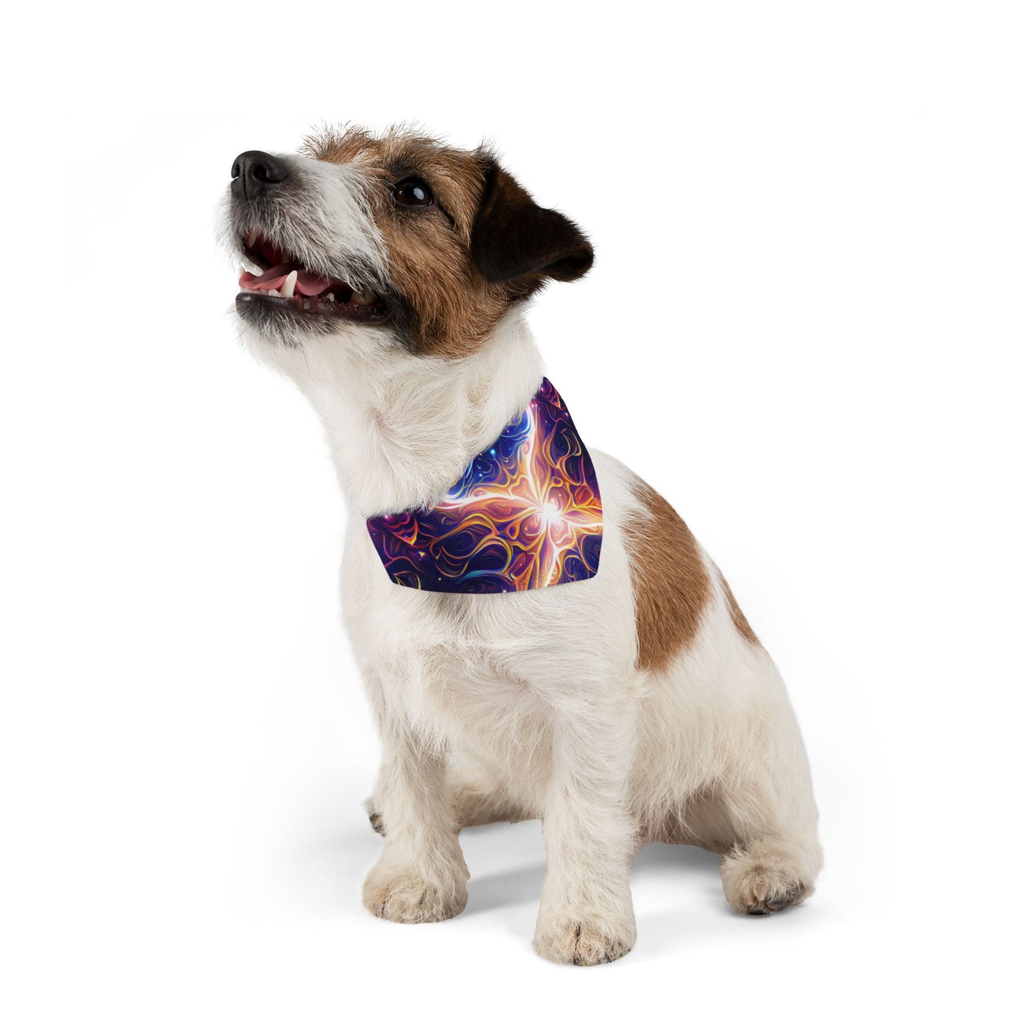 Neon Dreamscape Pet Bandana Collar