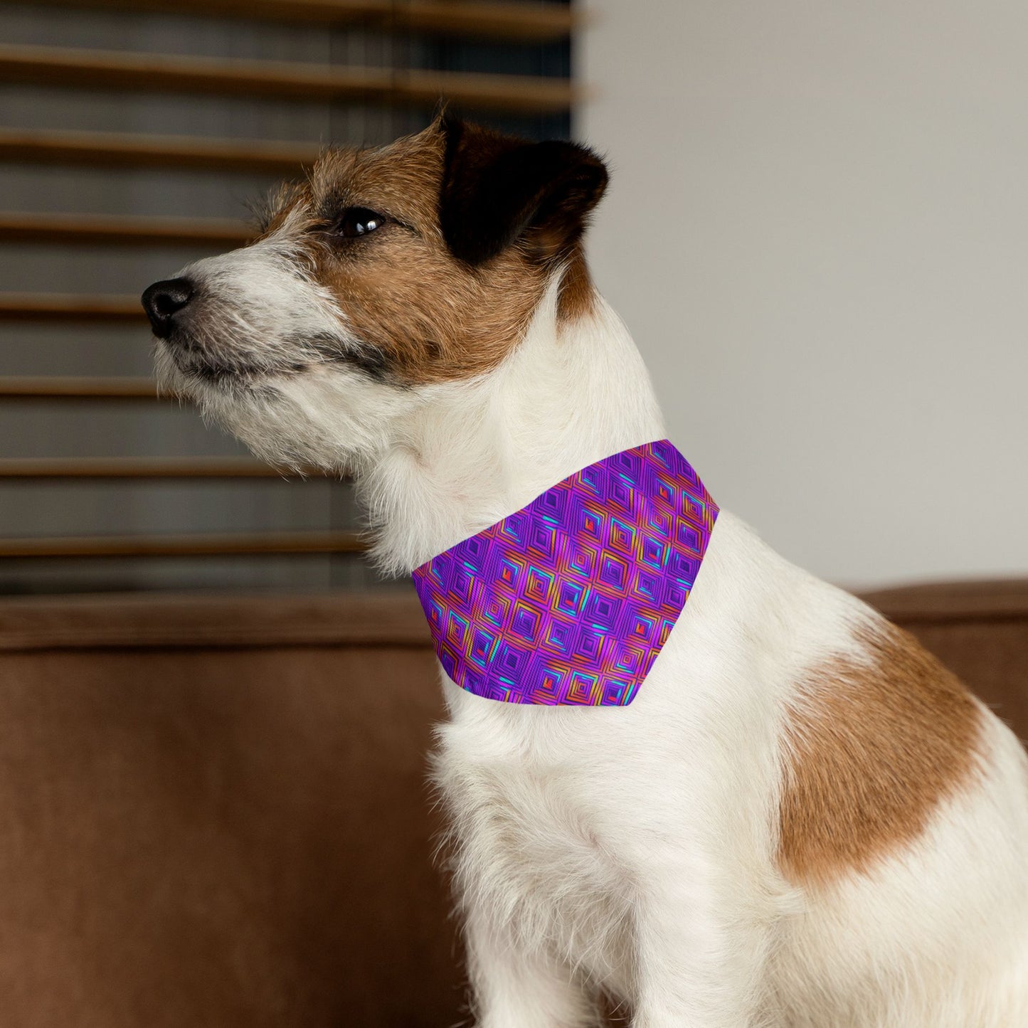 Color Gems Pet Bandana Collar