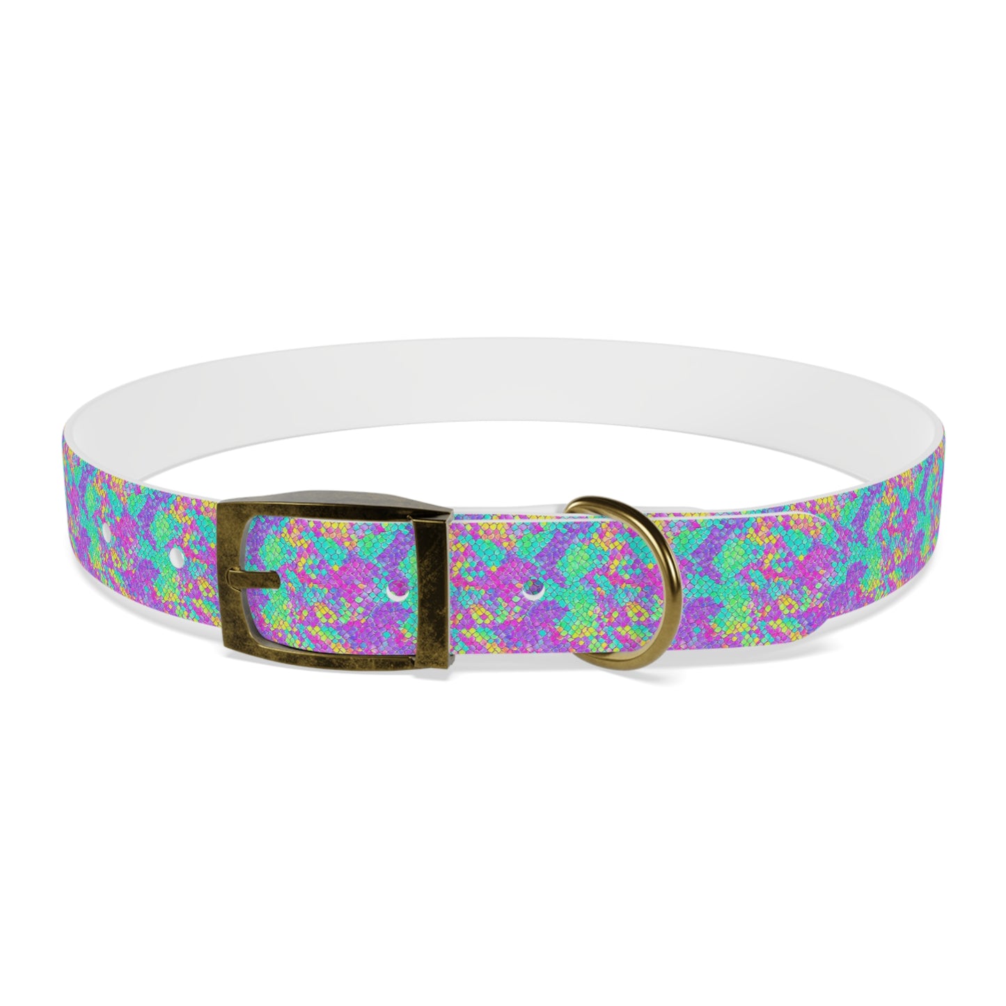 Fluid Fusion Dog Collar