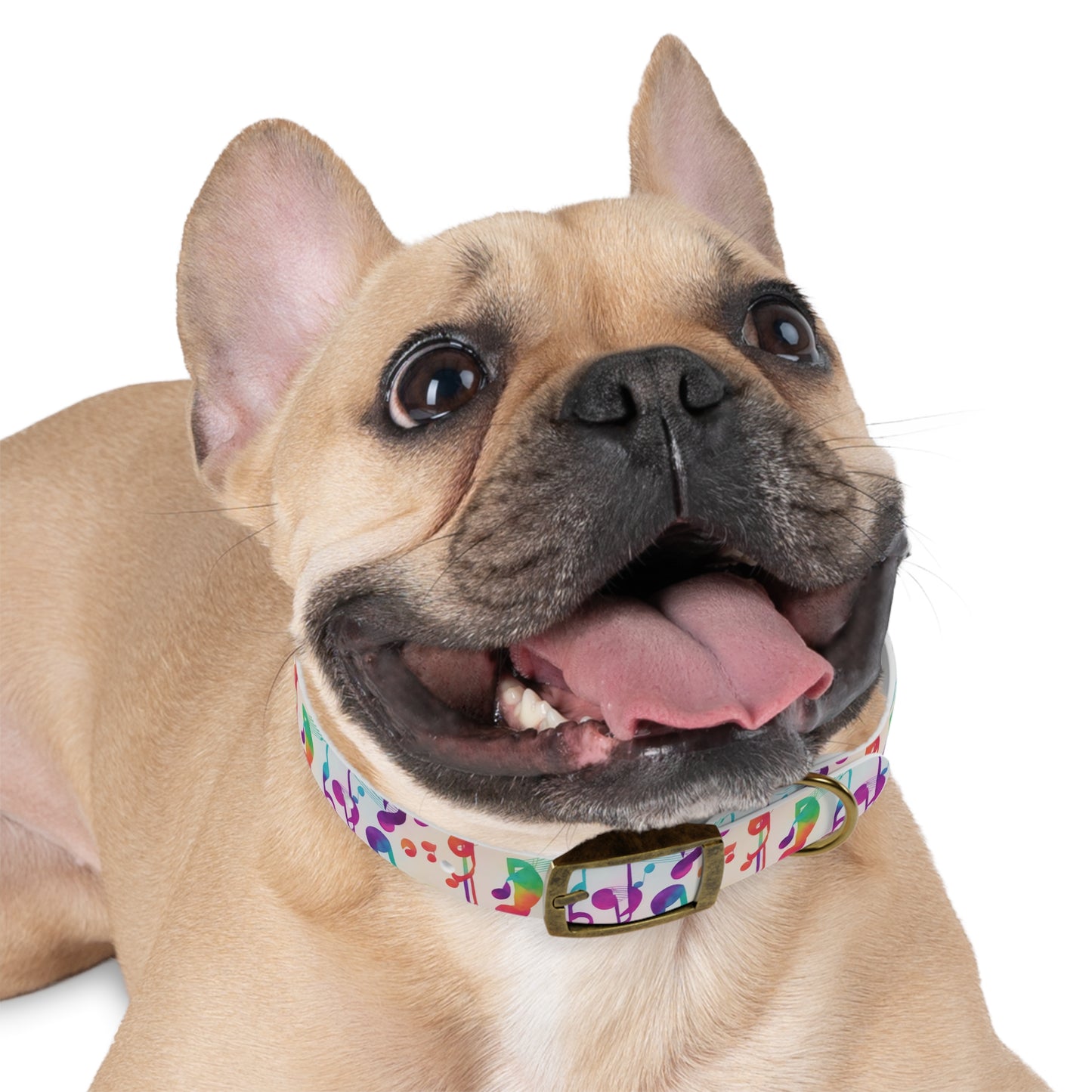 Vivid Vibrato Dog Collar