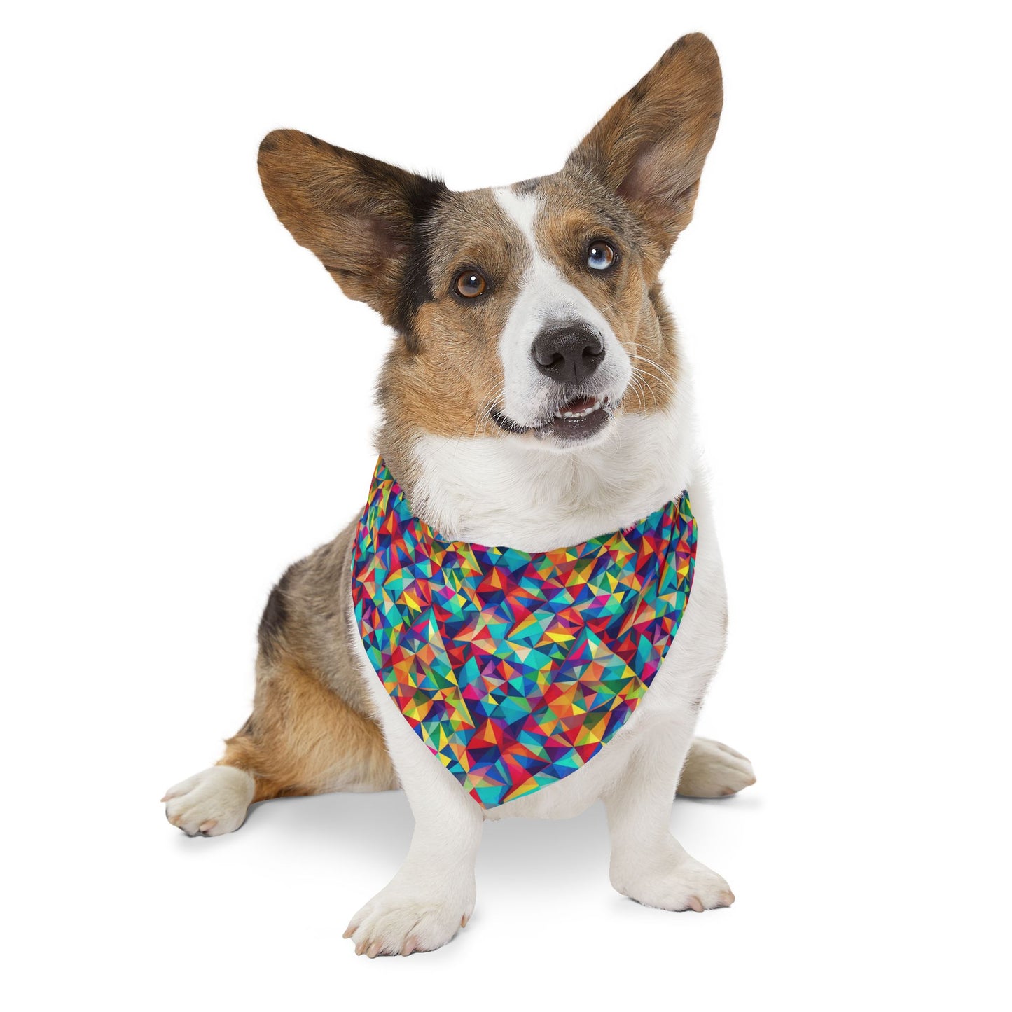 Neon Angles Pet Bandana Collar