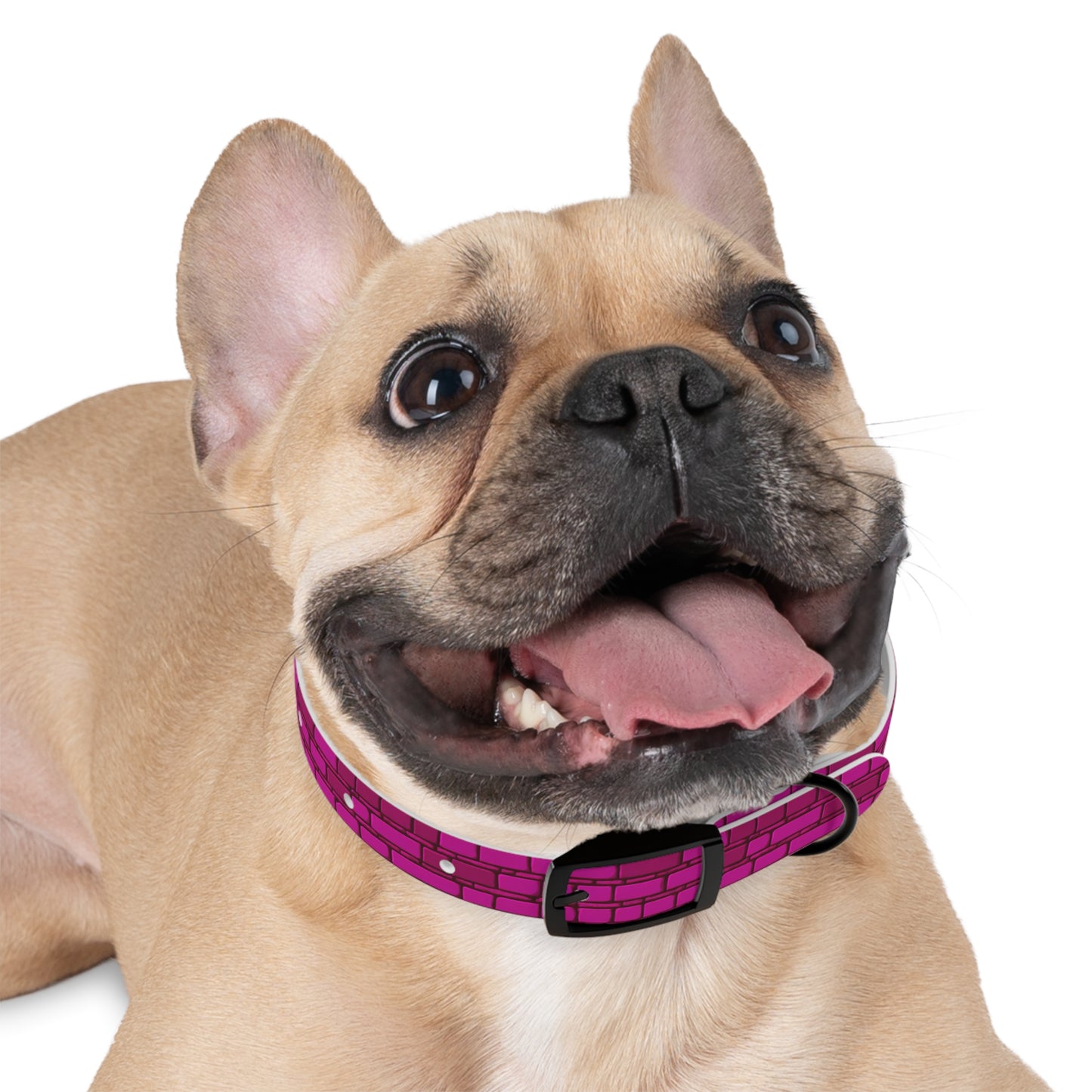 Cyber Chic Dog Collar