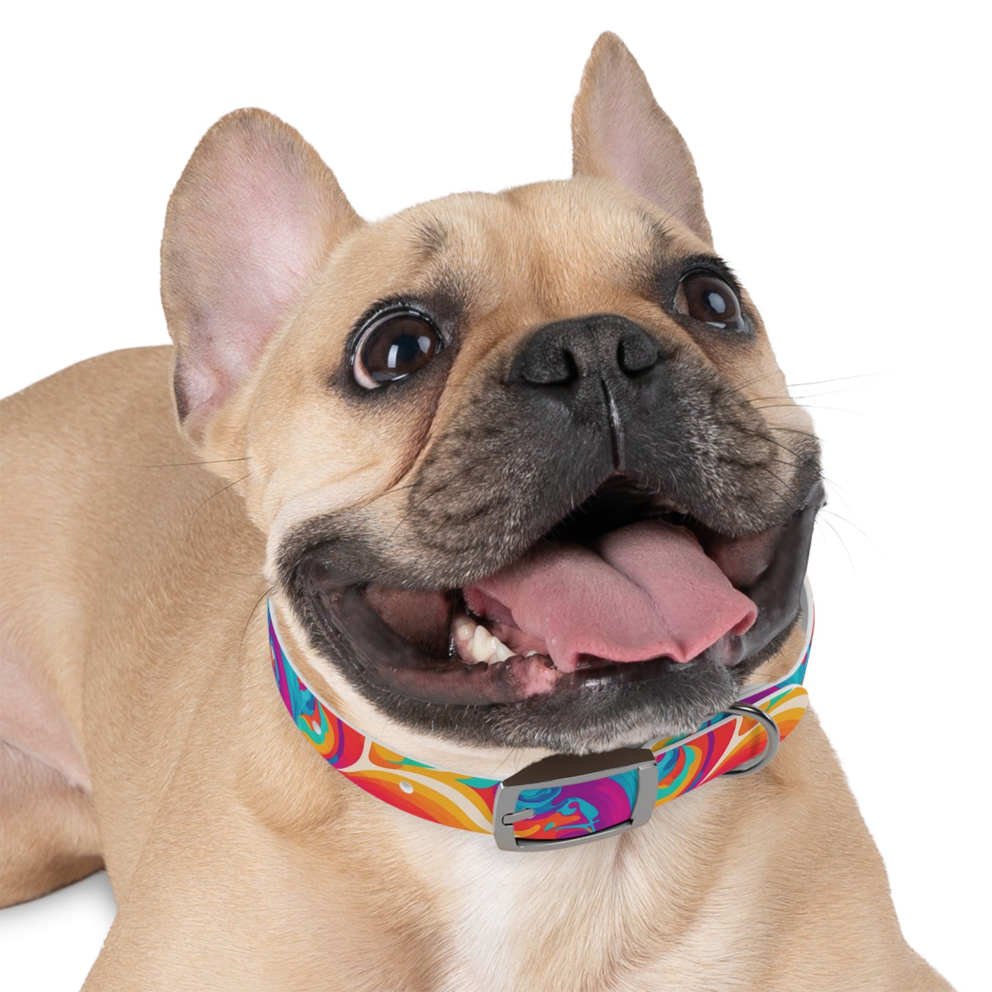 Rainbow Ripple Dog Collar