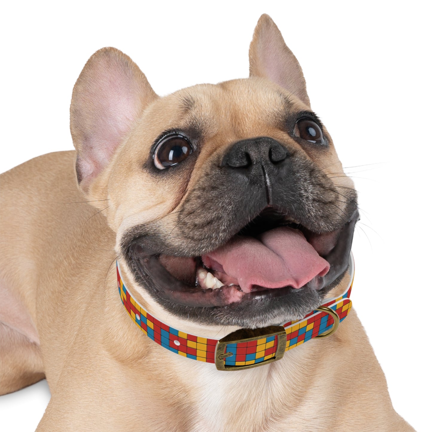 Modular Mirage Dog Collar