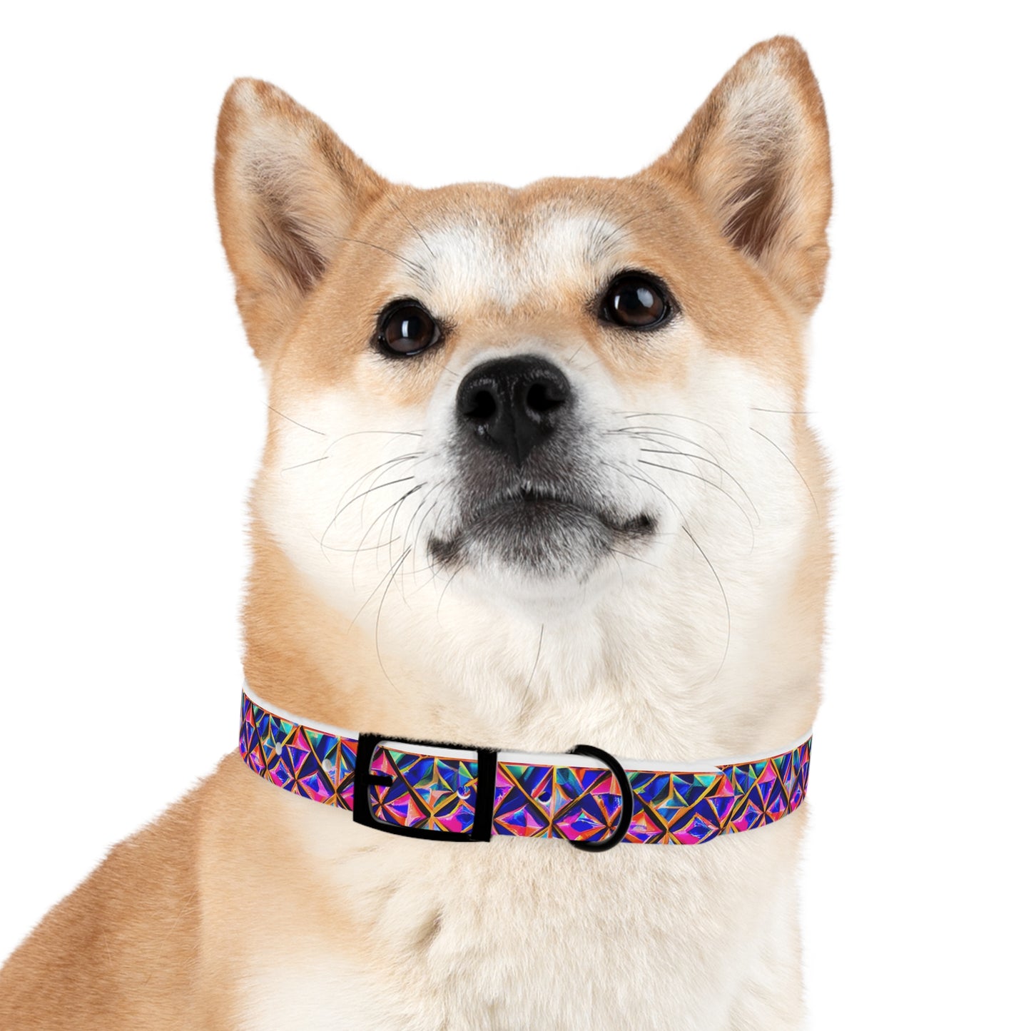 Tri-Fusion Dog Collar