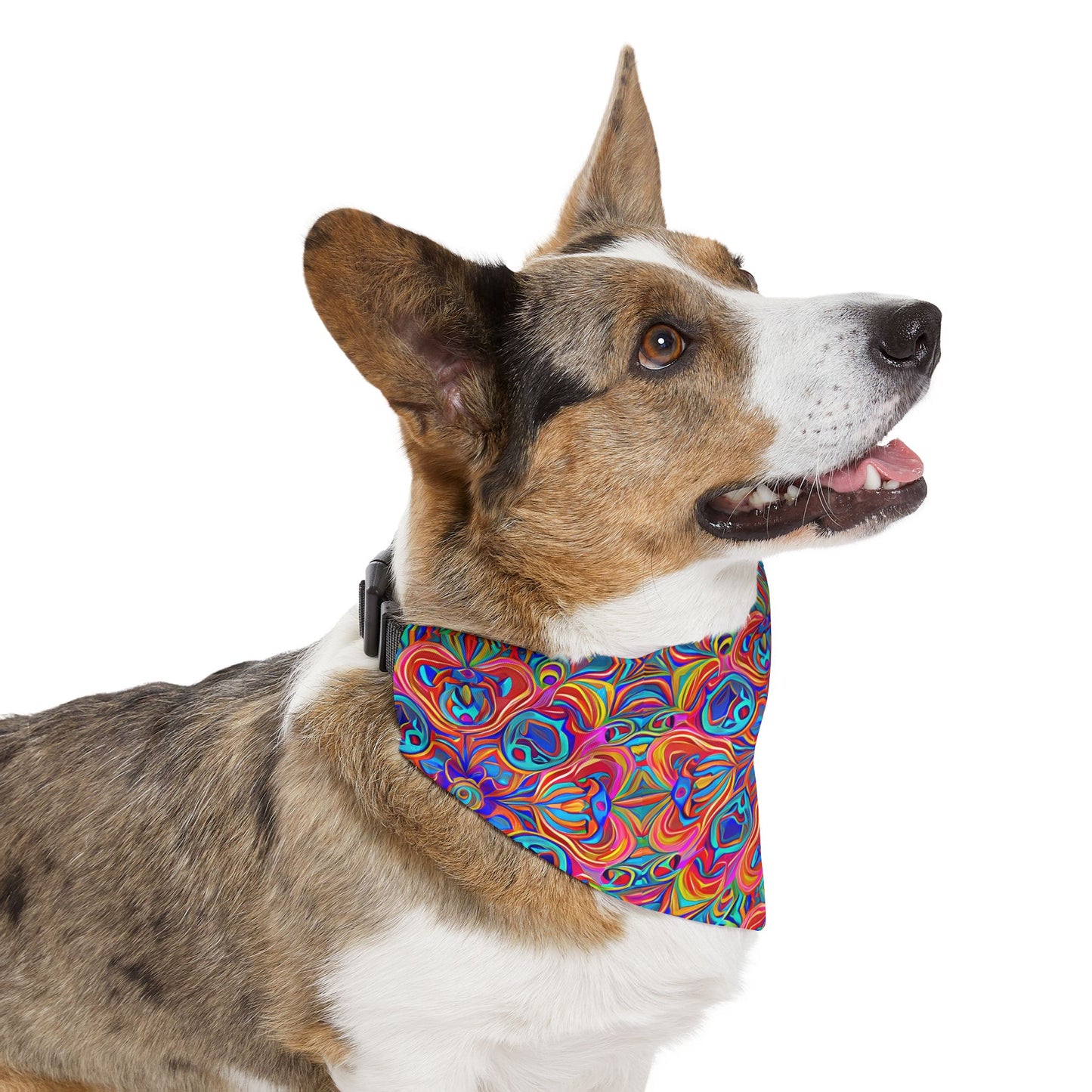 Psychedelic Spectrum Pet Bandana Collar