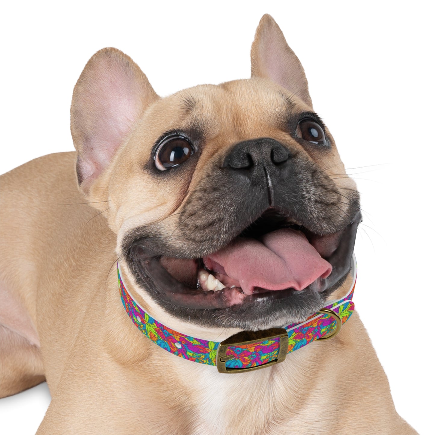 Groovy Geometrics Dog Collar