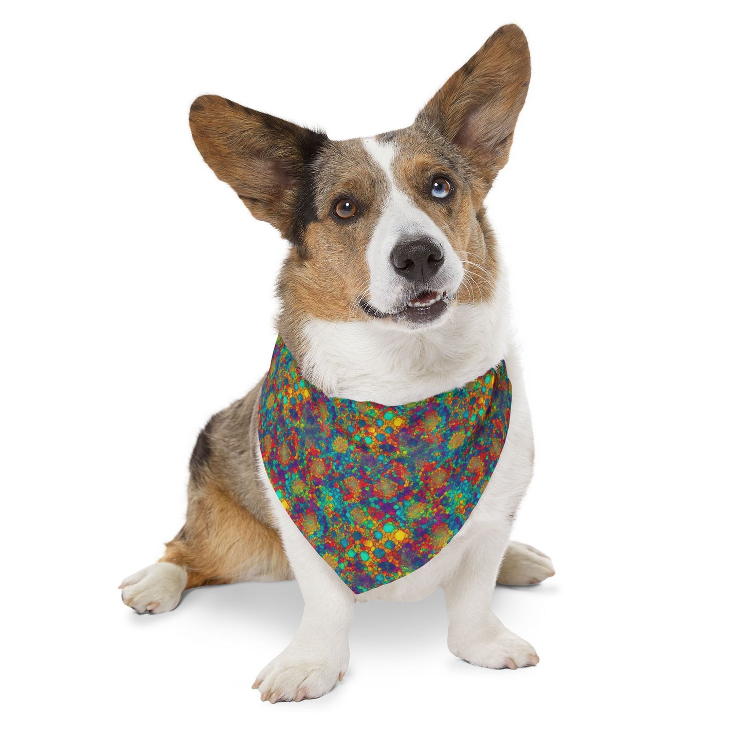 Mosaic Meledy Pet Bandana Collar