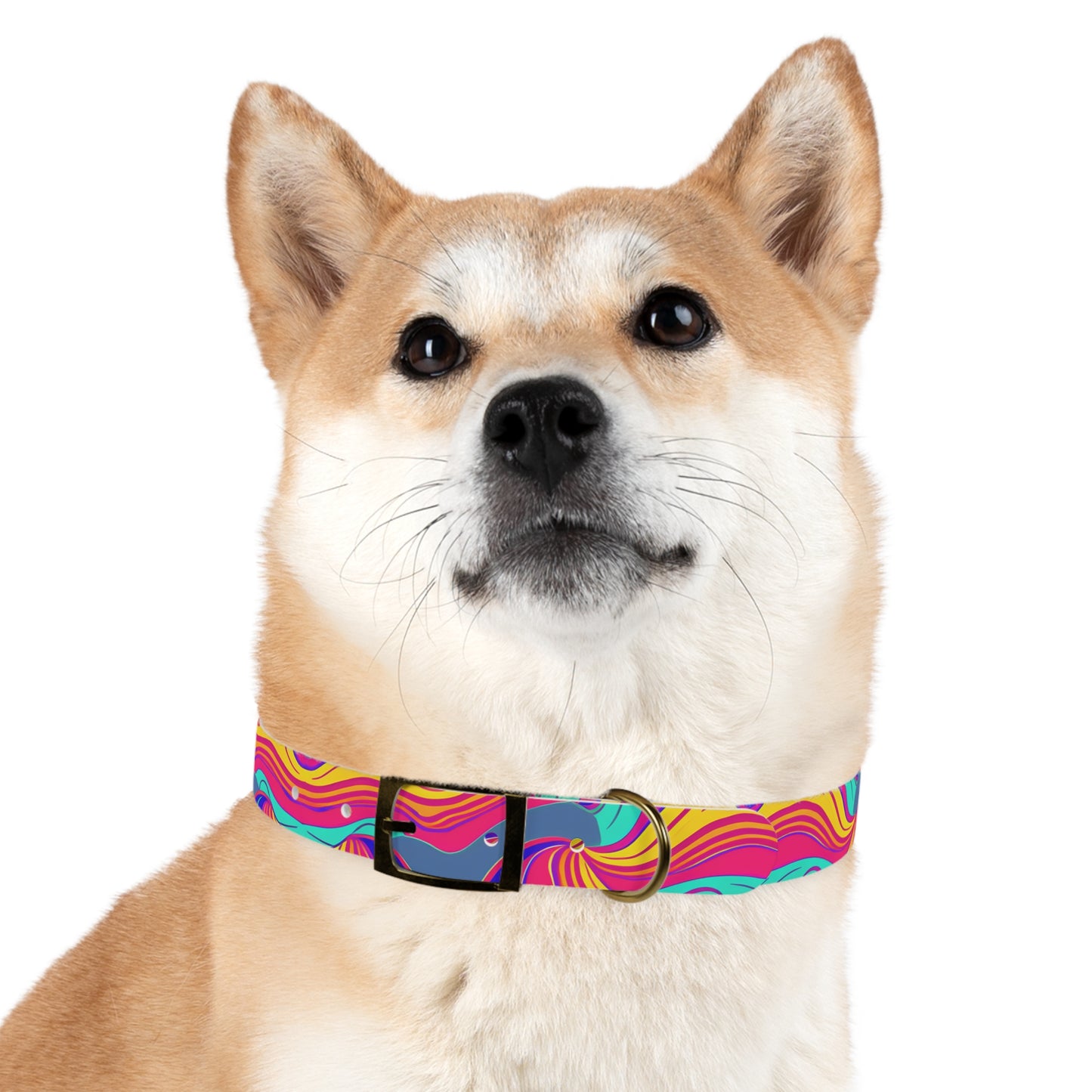 Psychedelic Grove Dog Collar