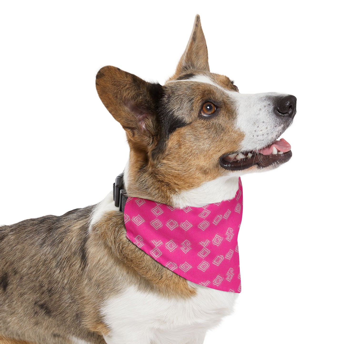 Brilliant Bliss Pet Bandana Collar