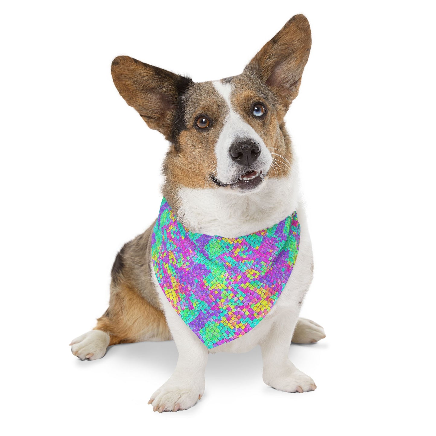 Fluid Fusion Pet Bandana Collar