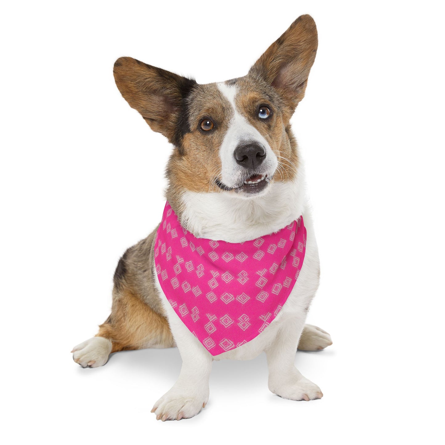 Brilliant Bliss Pet Bandana Collar