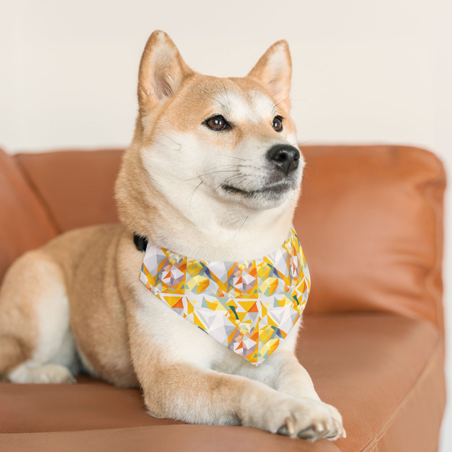 Polygon Prism Pet Bandana Collar