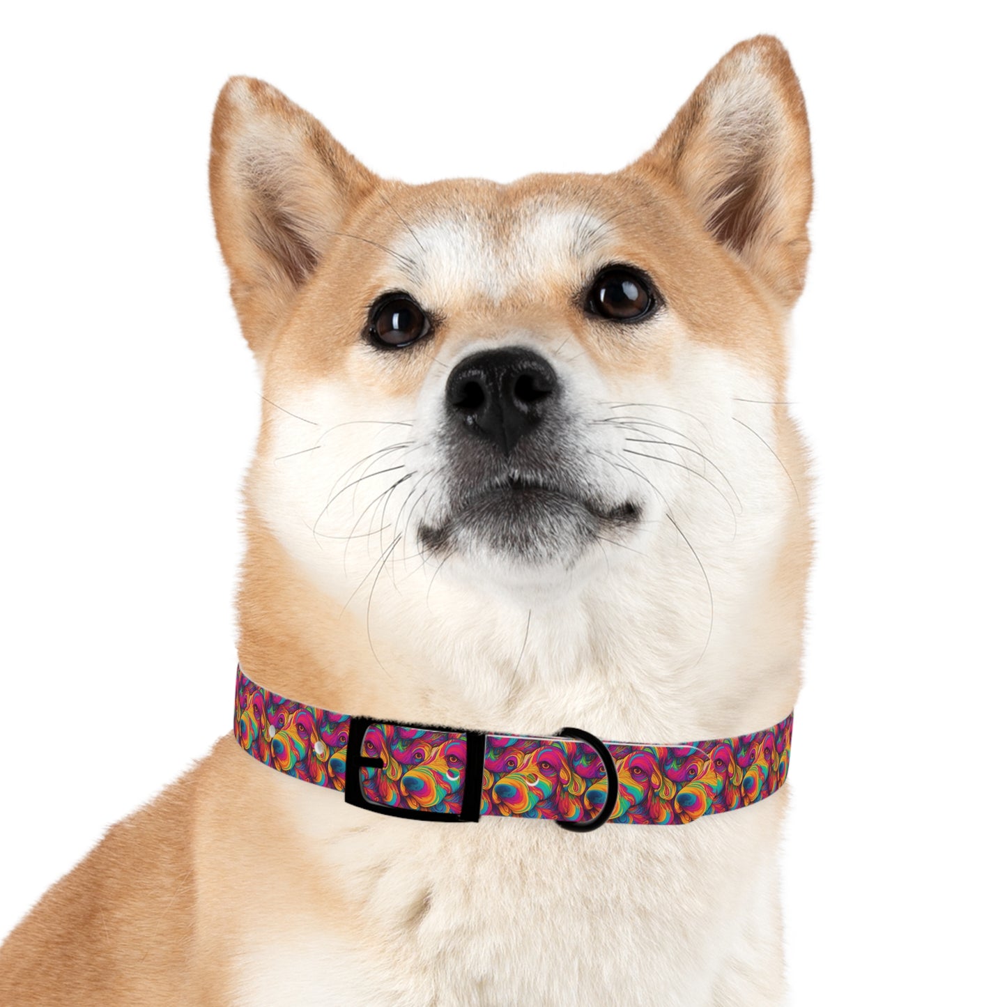 Abstract Woof Dog Collar