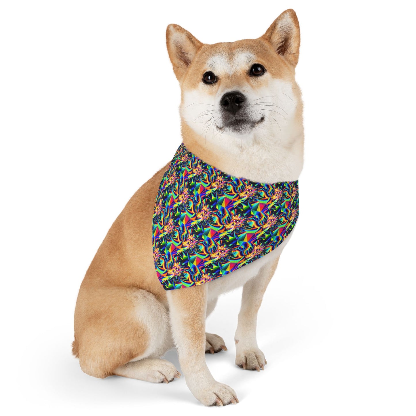 Astronomical Aura Pet Bandana Collar