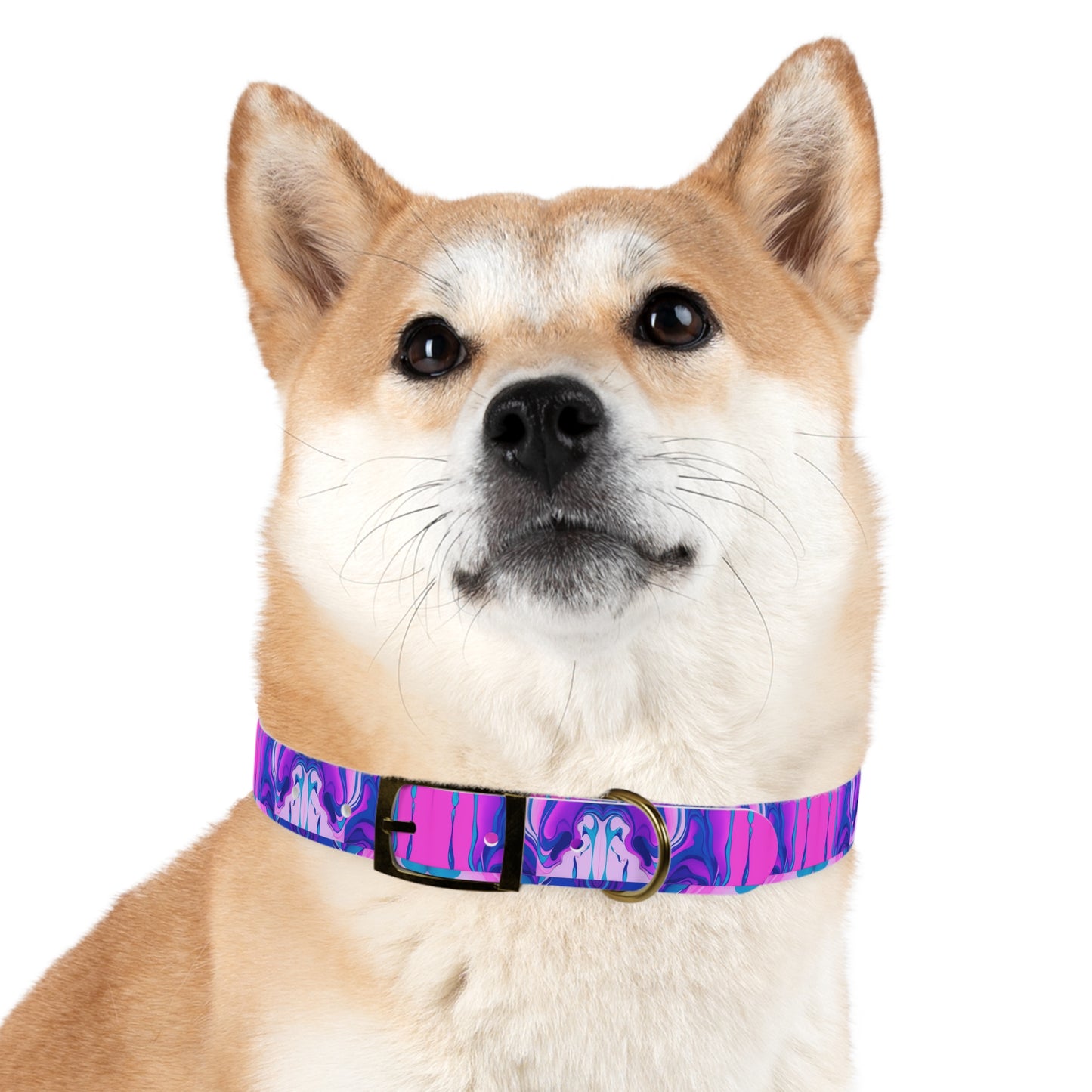 Marbled Magic Dog Collar