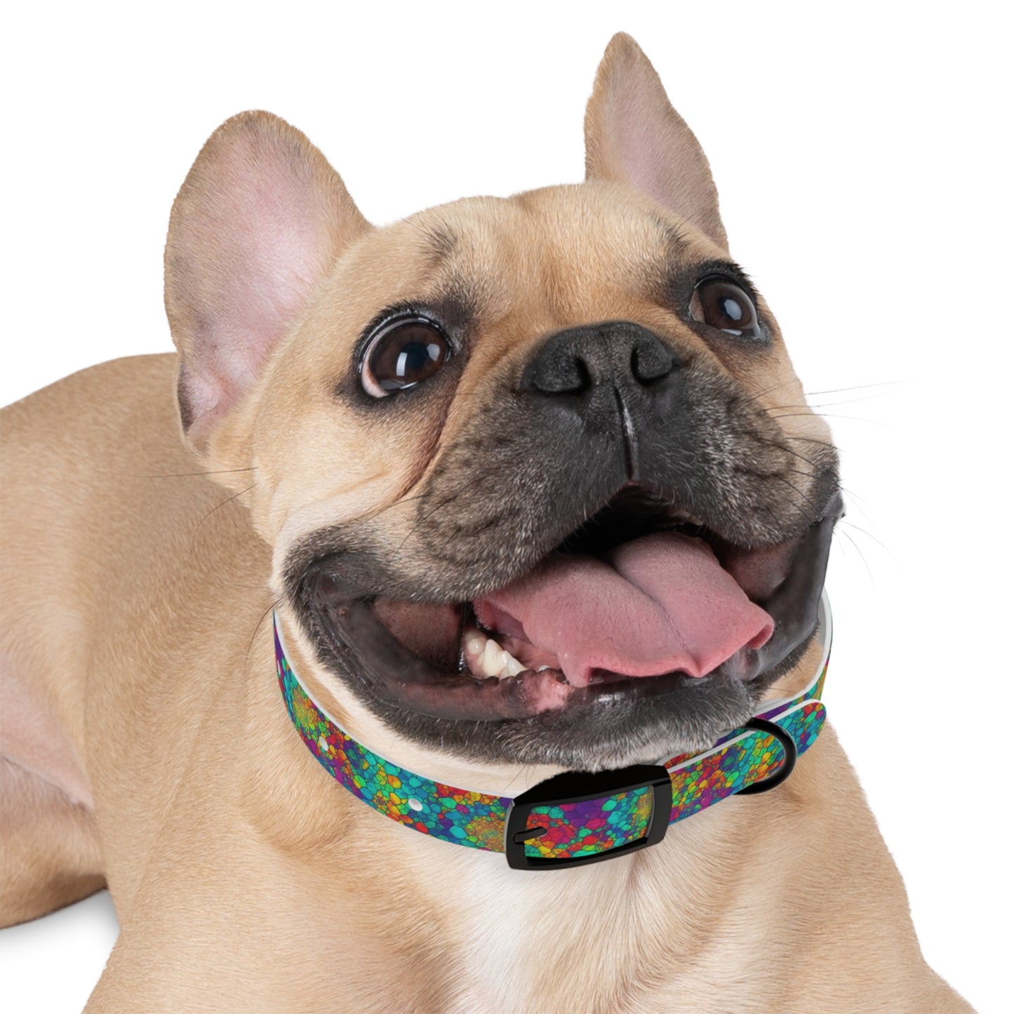 Mosaic Melody Dog Collar