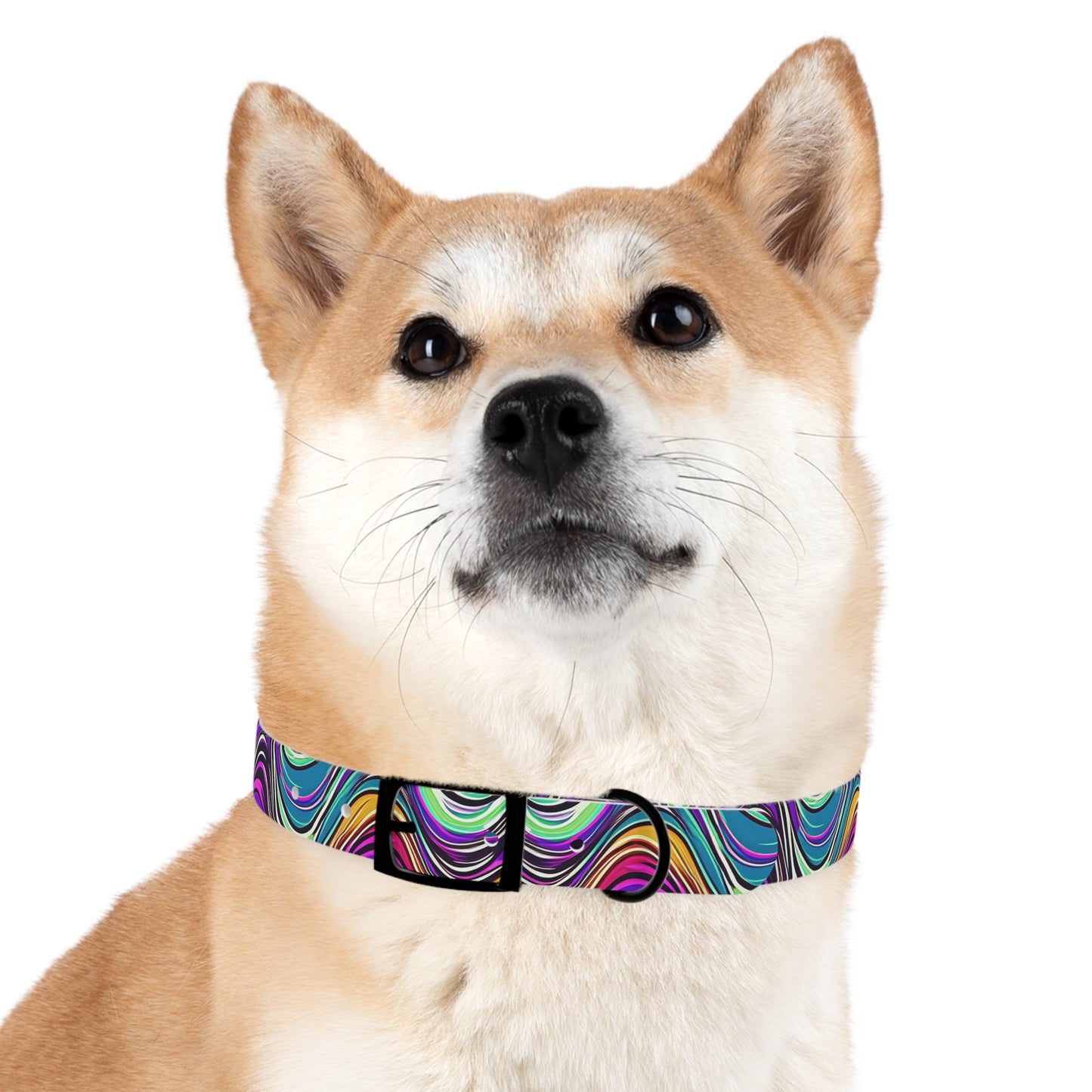 Cosmic Ripple Dog Collar