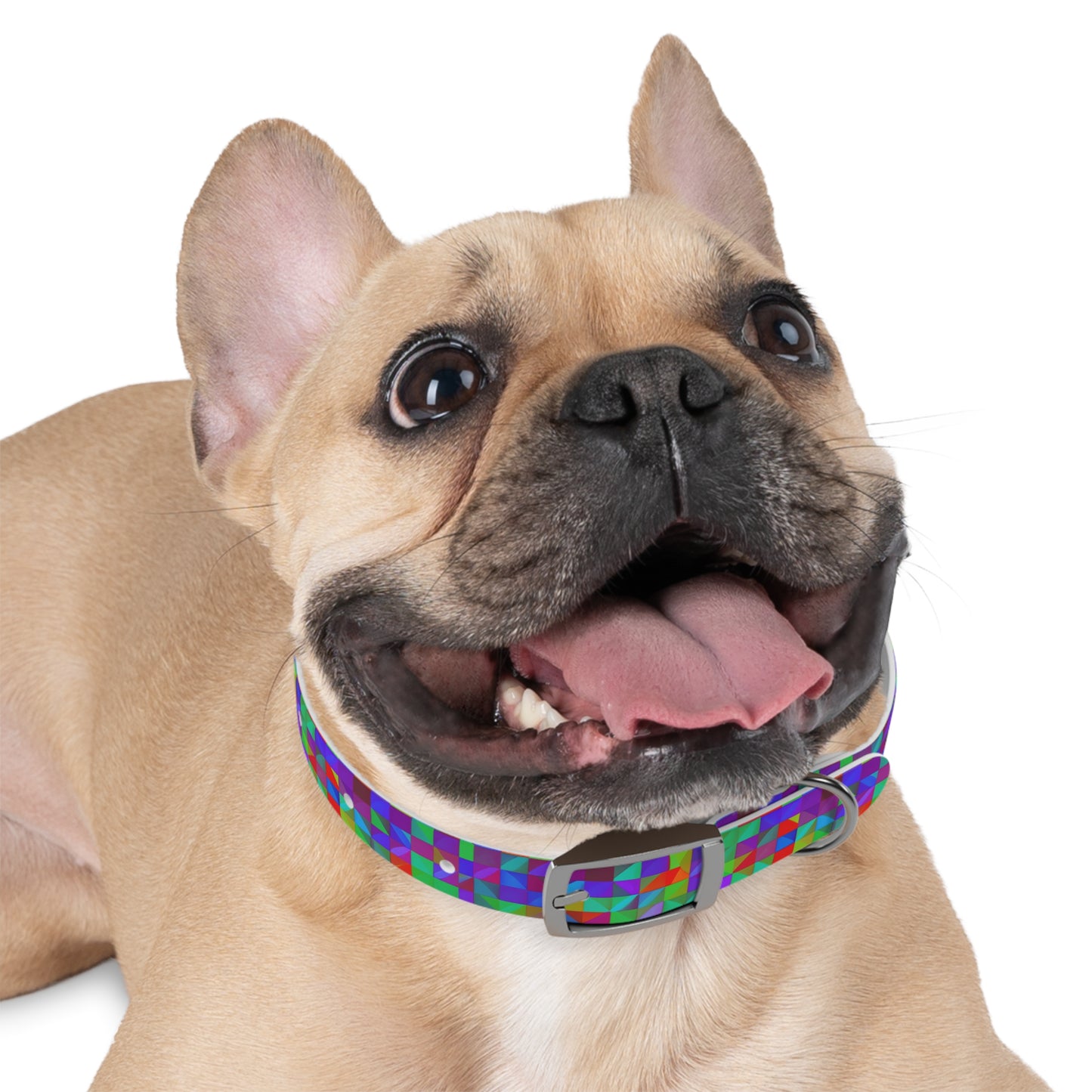 Prism Patterns Dog Collar