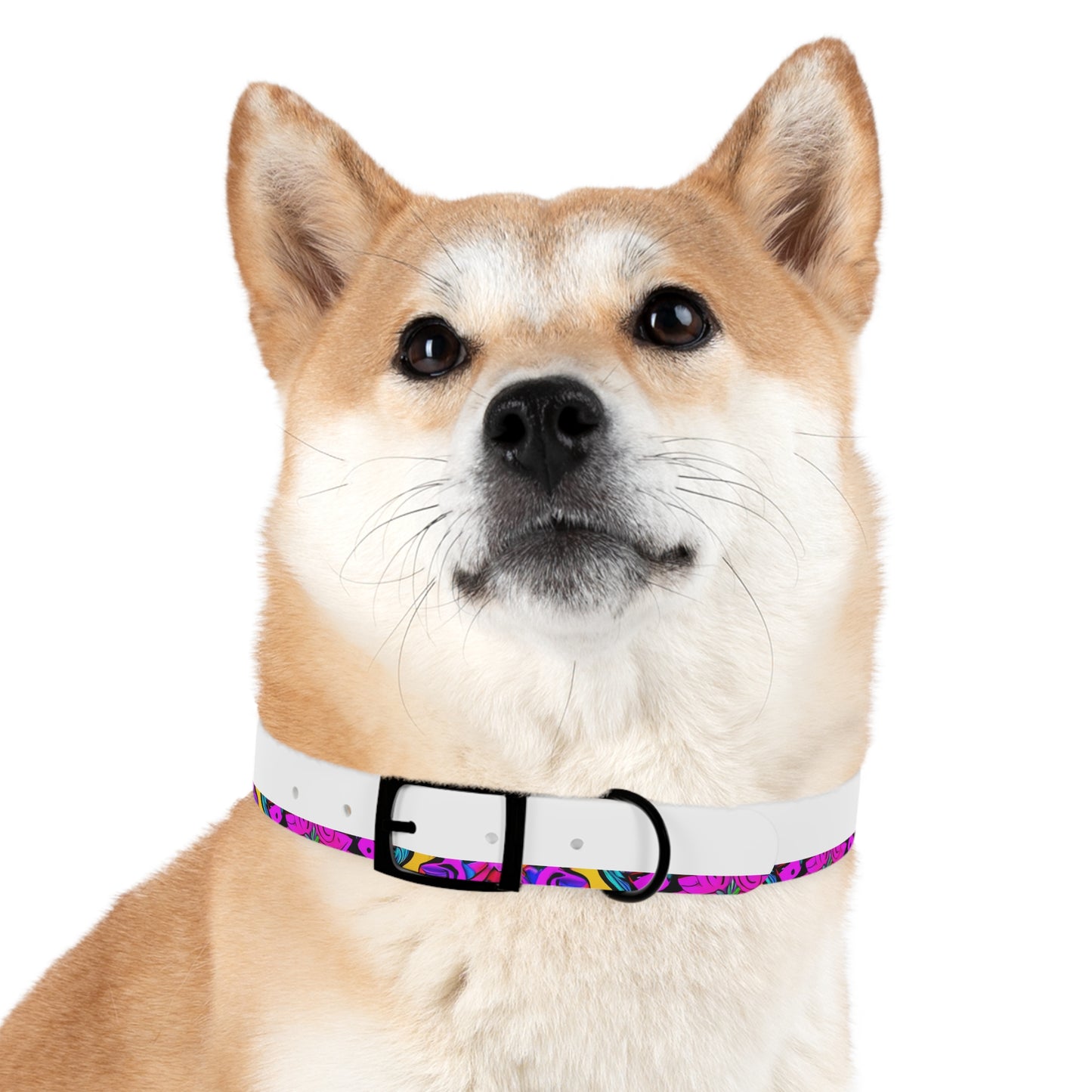 Vibrant Illusions Dog Collar