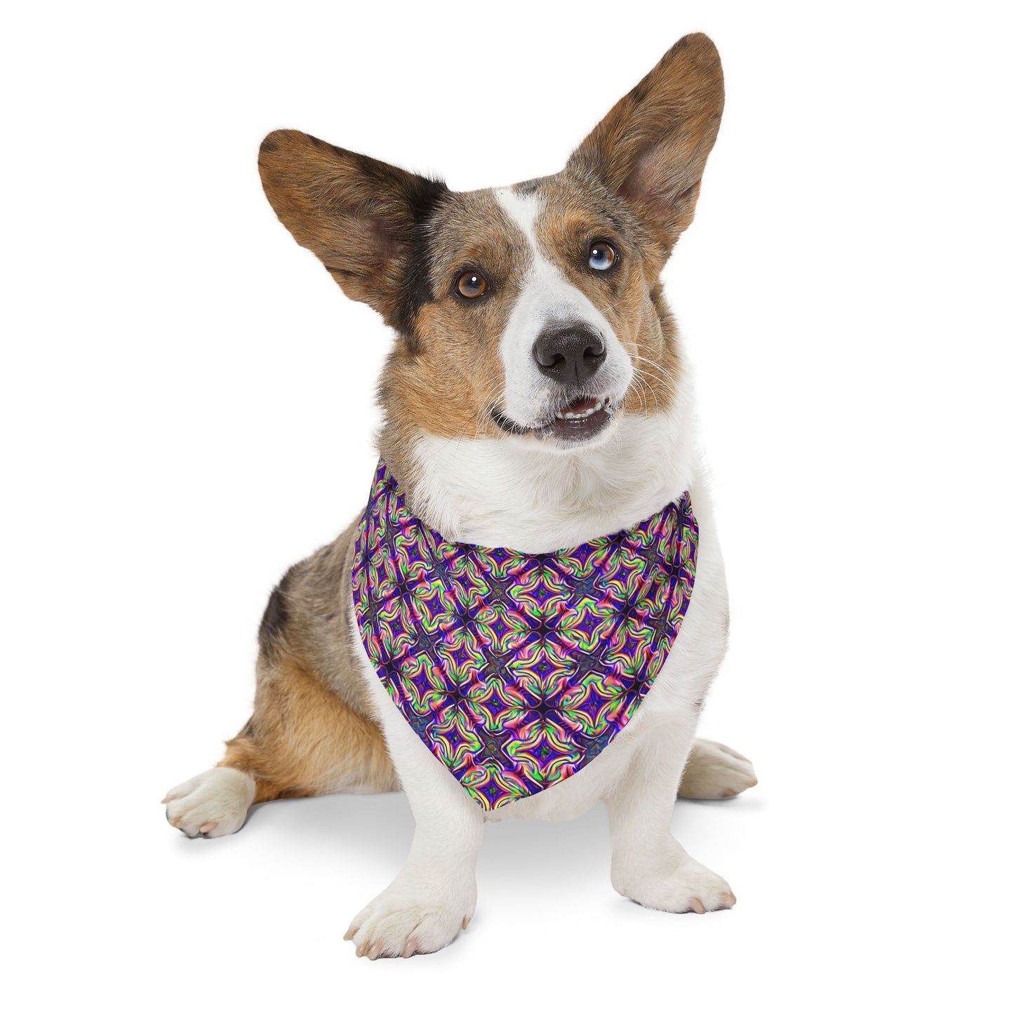 Glow Geo Pet Bandana Collar