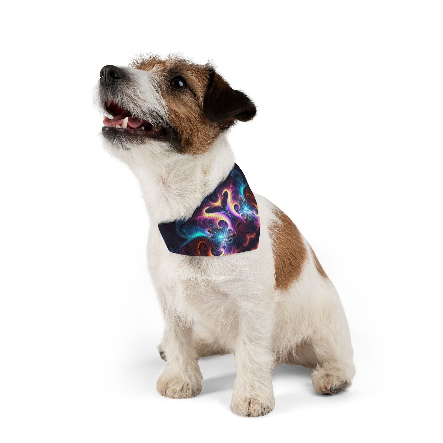 Neon Spiral Pet Bandana Collar