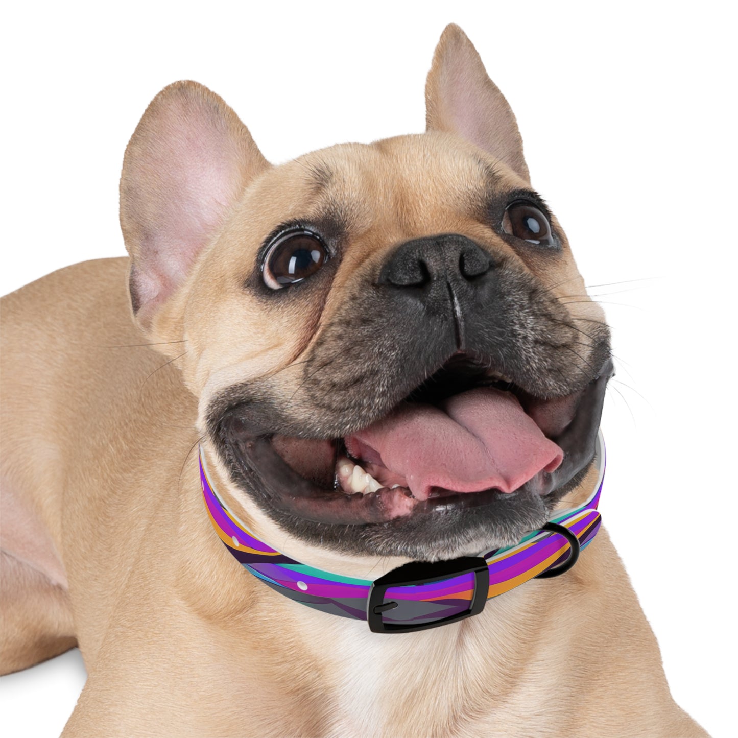 Calm Waves Dog Collar